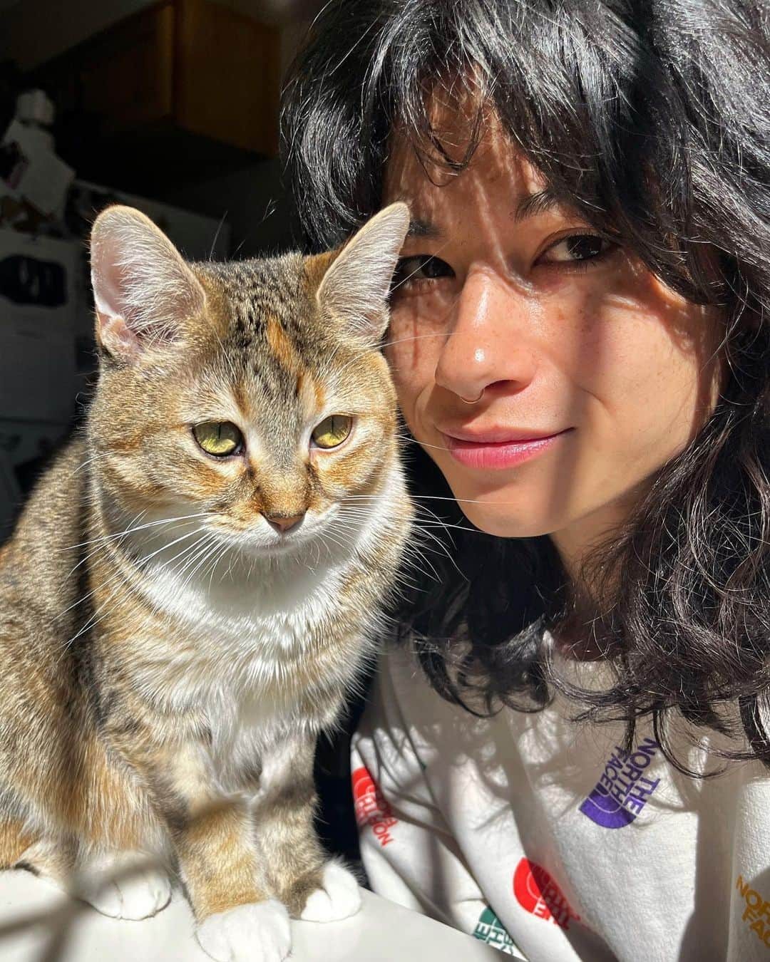 ニーナ・ウィリアムズのインスタグラム：「IG vs. reality ➡️ just a couple of kitties, lounging. Loving these mornings with #charliegirl 🐱❤️」