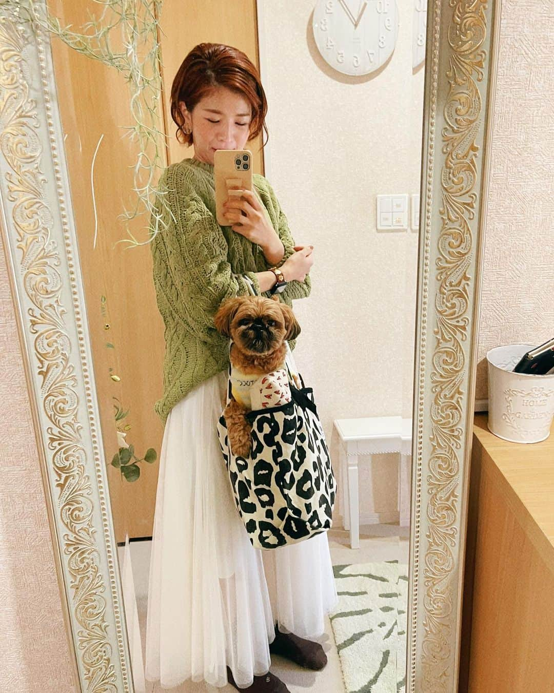 巴山萌菜のインスタグラム：「カバンにしっかり入っちゃうから面白い、くるちゃん🐶笑  #ペキプーのくるくん #ペキプー #ペキニーズ #トイプードル #ミックス犬 #短足犬 #はなぺちゃ犬 #ilovemydog #dogstagram #dog #愛犬 #ミックス犬 #ミックス犬部  #ミックス犬スタグラム」