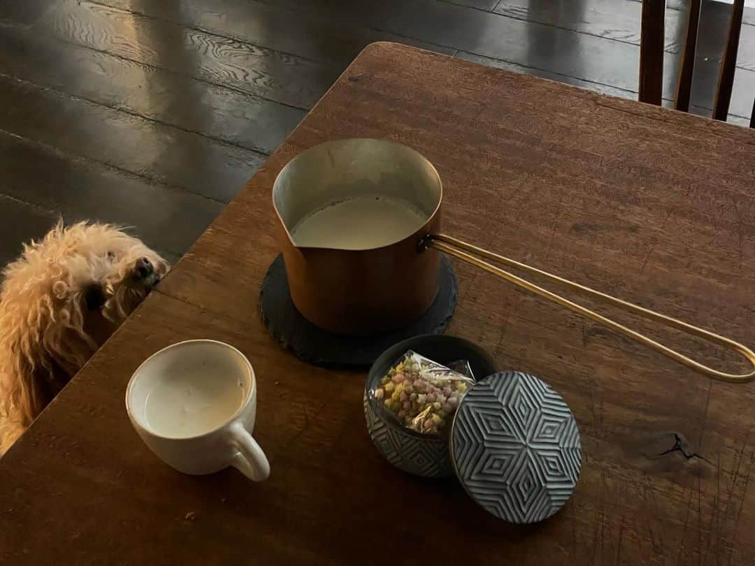 松井美緒さんのインスタグラム写真 - (松井美緒Instagram)「…今日はずっと雨ですのぉ。 少し寒かったので コトコトと牛乳を温めました。  このミルクパンは 一枚の平らな銅板を金“鎚”で打ち“起”こし形作る鎚起銅器。  どんなふうに作るのか興味津々の私は今度体験に行ってきます🔨 今からワクワクでたまらないです。 @tsuikisyokunin   金平糖みたいなお菓子は 金平糖ではなく 浮き星というもので中に小さなあられがはいっている 昔からある新潟のお菓子。  .  #おはよう」3月18日 8時12分 - mio.matsui