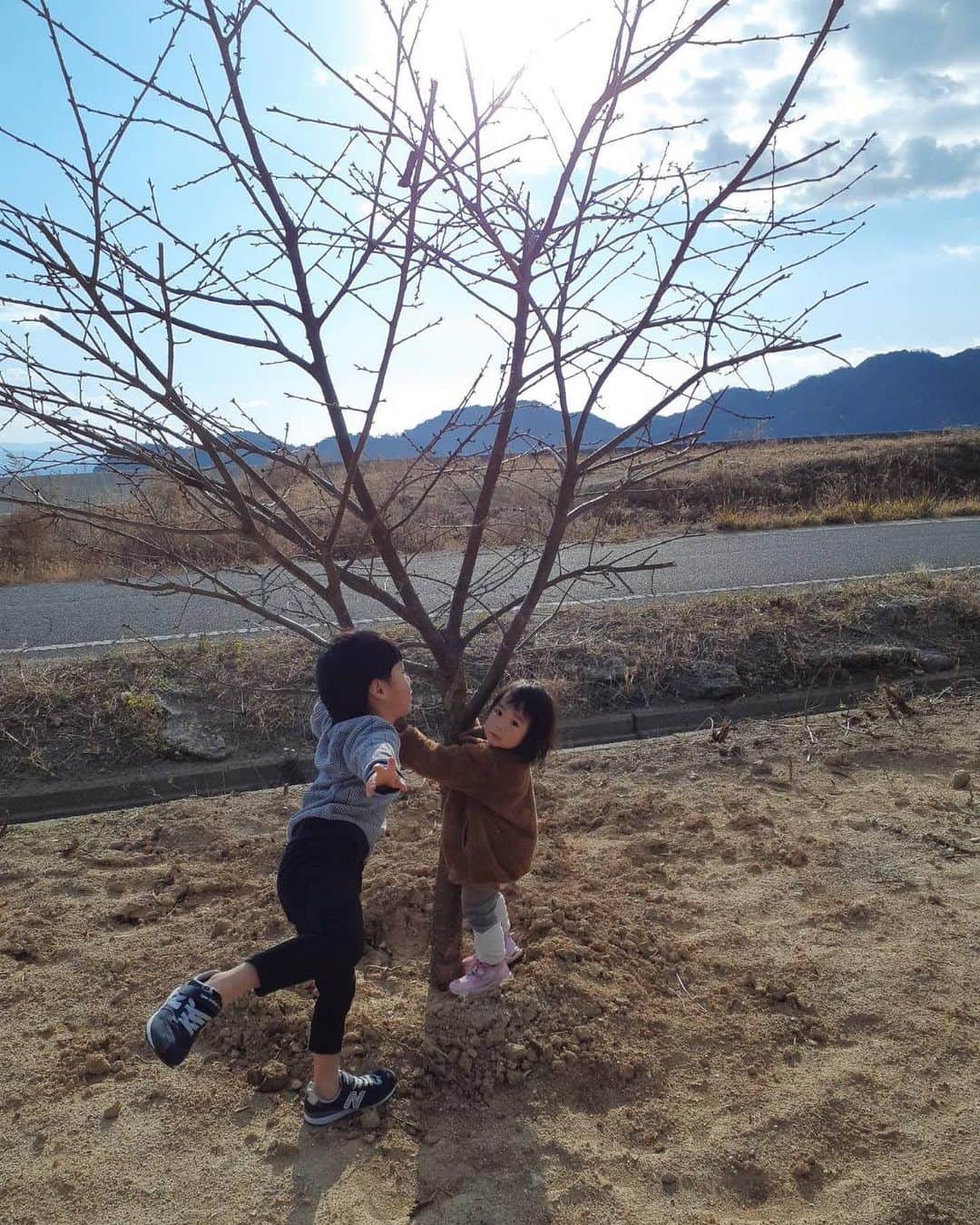 美甘子さんのインスタグラム写真 - (美甘子Instagram)「故郷、大三島町宗方で自由に使っていいよ！と任されている親戚の土地に昨年末に植えていた河津桜が満開になったと家族LINEでお知らせが。　 ピンクで満開で綺麗。1.2枚目は今朝で、3枚目は昨日、4枚目は昨年末に移植した時の甥っ子と姪っ子と桜の木。 今後は、ここにレモンの苗木を植える予定とのこと。楽しみ☺️ 🌸🍋 #河津桜 #大三島」3月18日 8時28分 - rekish_mikako