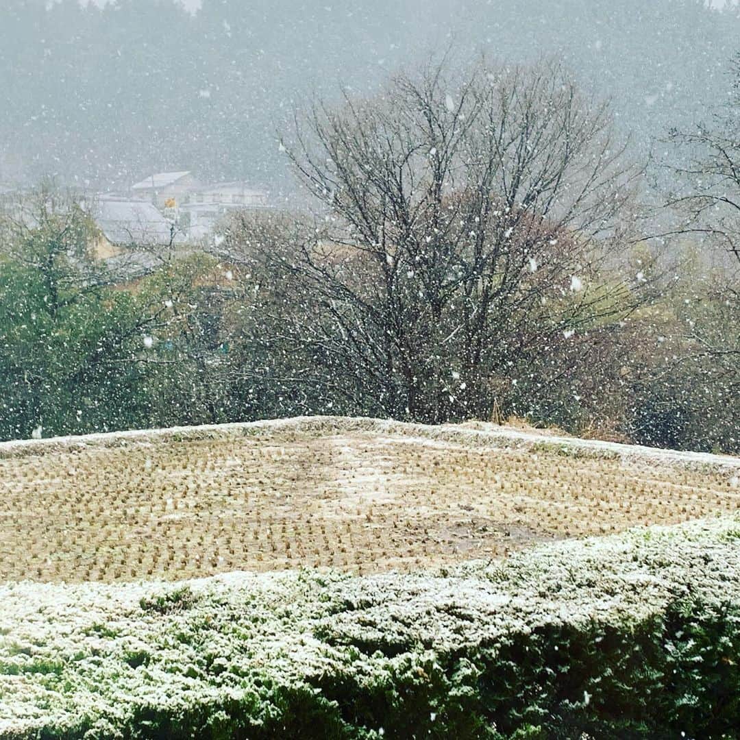 都竹悦子さんのインスタグラム写真 - (都竹悦子Instagram)「あれれー？（コナン風に） おかしいなー。  雪が降ってるみたいだよ。  Surprise!  It's snowing today!  #2023年3月18日 #雪　#飛騨高山」3月18日 9時52分 - etsukotsuzuku