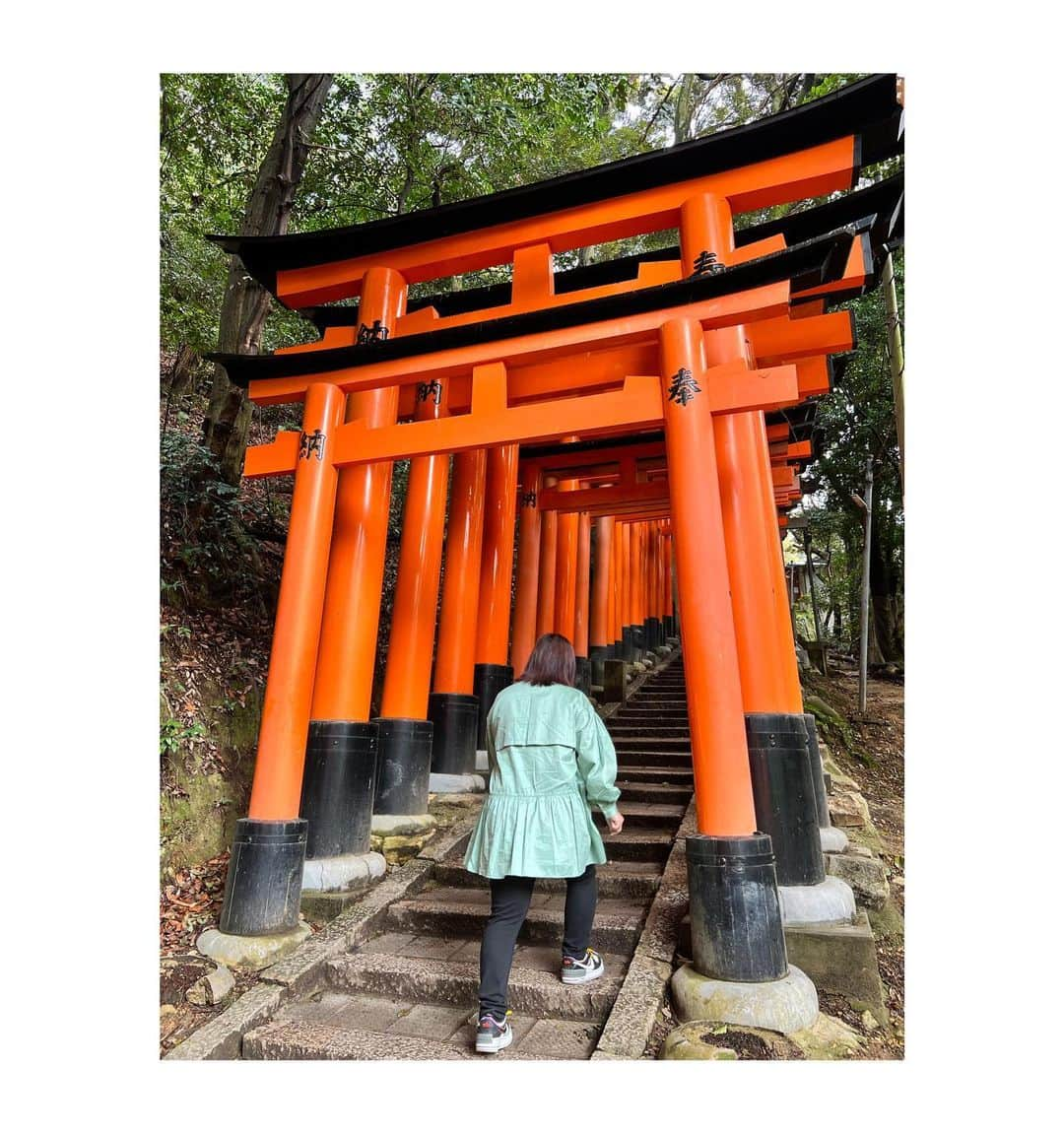 淺井咲希さんのインスタグラム写真 - (淺井咲希Instagram)「伏見稲荷大社に行ってきました⛩  最近腰とか足とか痛かったのに 階段たくさん登ったらなおりました！！笑  体調が良かったので頂上まで行ってきましたが運動ってやっぱり大事ですね💨  良いことありますように✨  #淺井咲希#伏見稲荷大社」3月18日 11時05分 - asaisakidesu