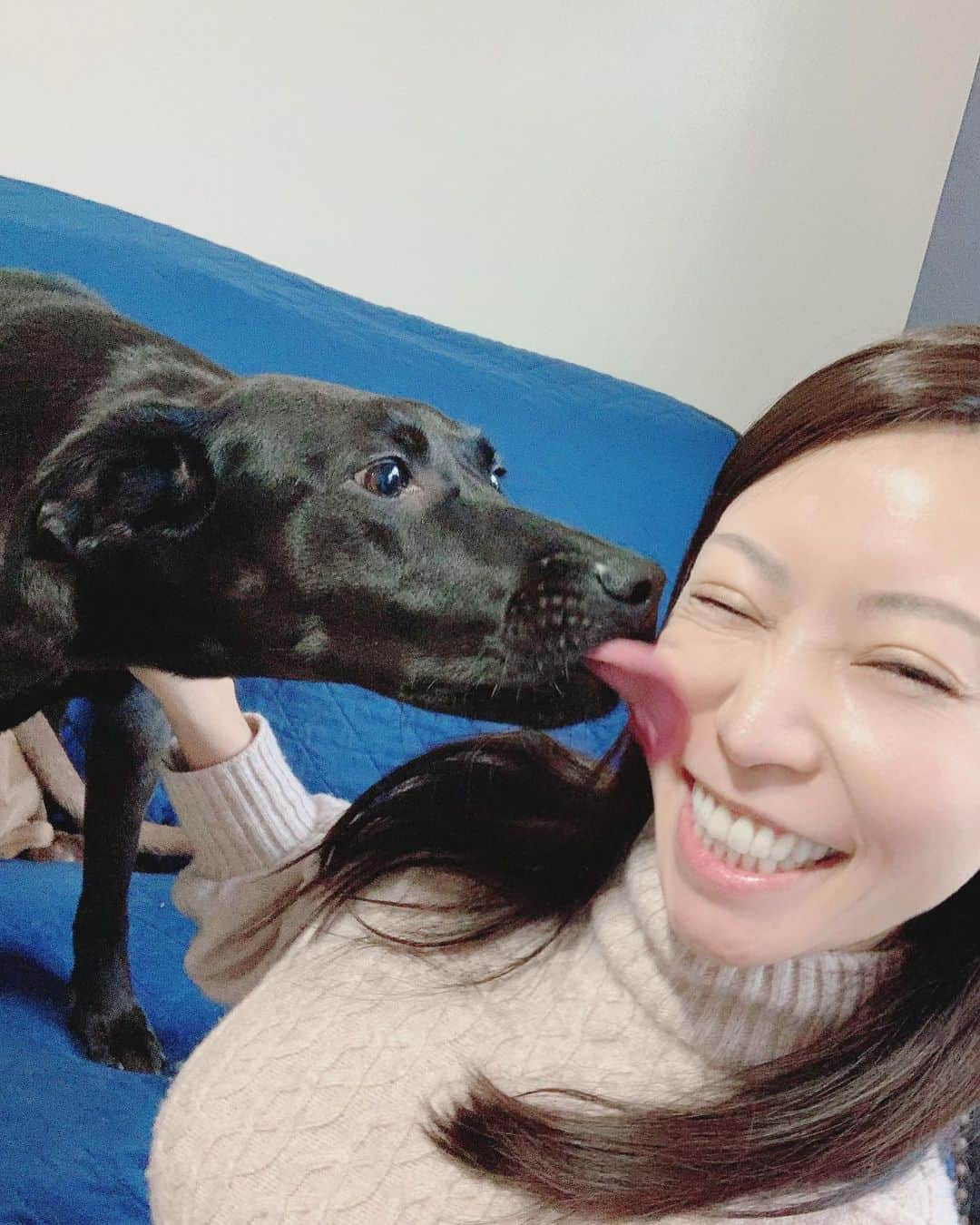 ERICAさんのインスタグラム写真 - (ERICAInstagram)「A day during spring break🇺🇸 I like playing with doggies.🐕‍🦺😘  Pitbulls are often seen as ferocious dogs, but they are safe when properly trained.🍀  春休みのとある1日🌸 とても賢いピットブルのホープは、彼がしっかり躾けているので、穏やかな性格🍀 だけど、走りの速さはさすがピットブル‼️速くて力強い✨ 2枚目は、ムツゴロウさんみたいな状態🤣 3枚目は、お散歩の一コマ🐕‍🦺 4・5枚目は、それぞれ可愛い🥰  #photooftheday #instalike #instadaily #smile #webstagram #gingergolfteam #usa #sc #dog #dogsofinstagram #sunset #bluesky #springbreak」3月18日 14時06分 - erica_lillian1983