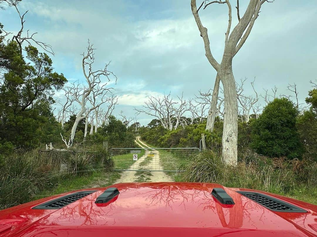 ルビー・ローズさんのインスタグラム写真 - (ルビー・ローズInstagram)「Road tripping part II great ocean road with my bro. ❤️❤️❤️」3月18日 14時26分 - rubyrose