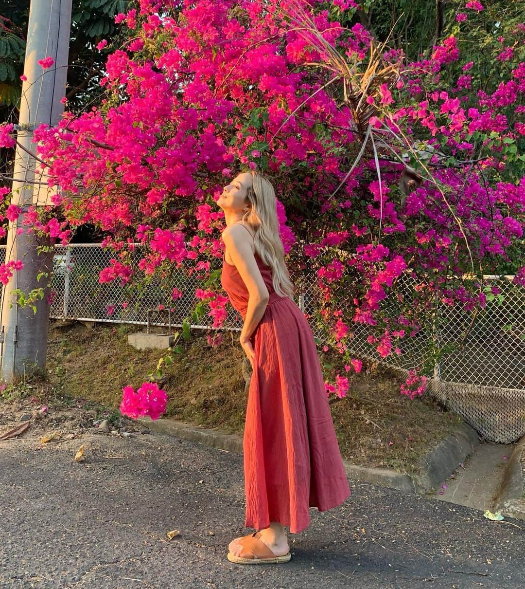 Tattyのインスタグラム：「夕陽に照らされたあざやかで綺麗なブーゲンビリアと🥹🫶❤️  パワーもらえる色してる☺️ 色んな所で見かけるから嬉しい😂💕  #philippines  #ブーゲンビリア  #bougainvillea」