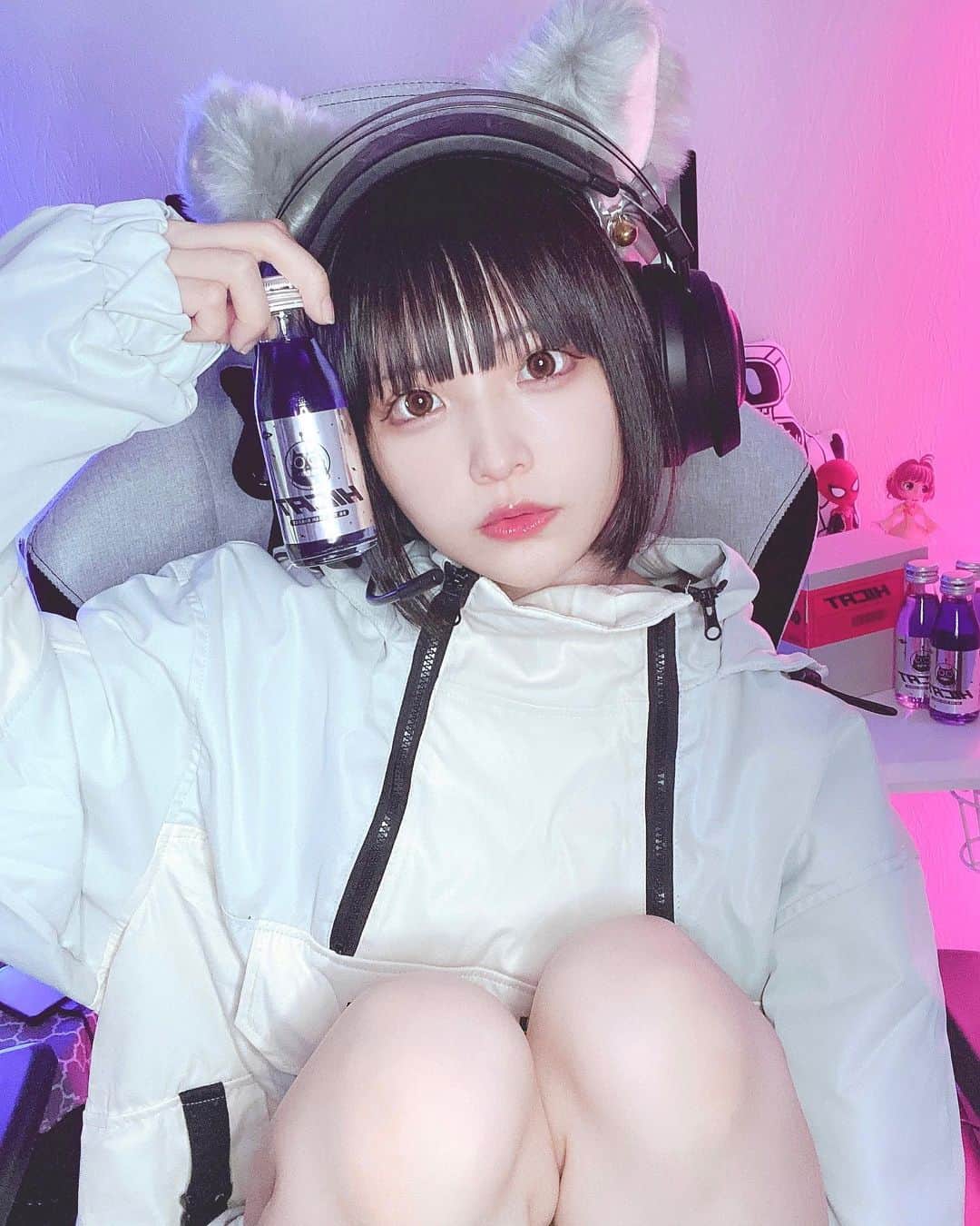 のインスタグラム：「nyanꕀ🐈 #hicat」