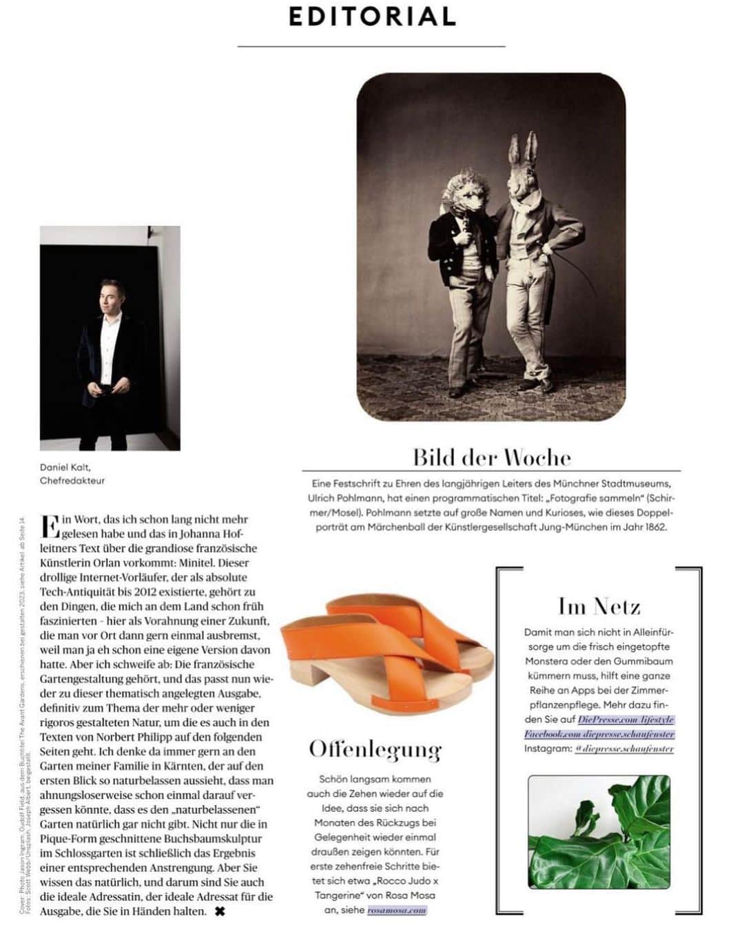 のインスタグラム：「New IN Store + online and in this weekend‘s @diepresse.schaufenster by @daniel_kalt : Rocco Judo in several colors, now on our new block heel sole 🧡!! + The rosa mosa Shop is open today Sat 11-15h + Happy to meeting you !! + #rosamosavienna #tangarine #rosamosa orangeshoes #orange #orangesandals #springshoes #wien #vienna #viennastyle #diepresseschaufenster」