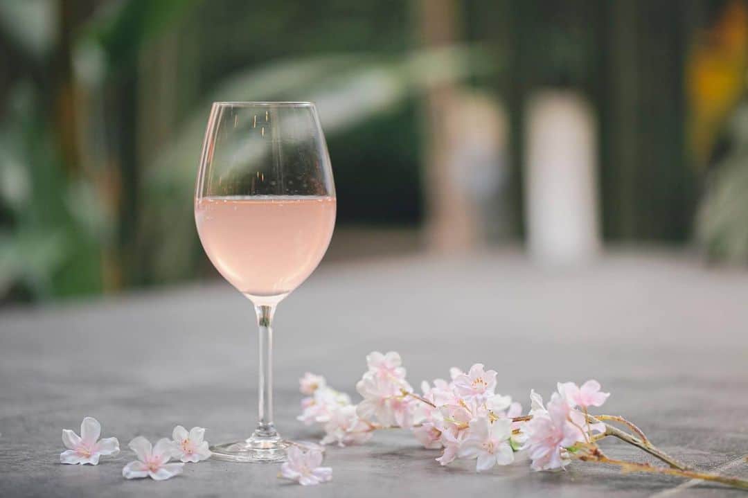 with the styleのインスタグラム：「⁡ ⁡ 【Seasonal Drink】 本日、福岡でもようやく桜の開花が発表されました ⁡ ウィズザスタイルでは、3月20日より 白ワインをベースに淡い桜色のサングリアを ご用意いたします ⁡ グラスの中で揺らめく桜の花びらを眺めながら 是非待ちに待った春をご堪能ください ⁡ 〝桜サングリア〟¥1,000 オンザデッキ バーラウンジにて」