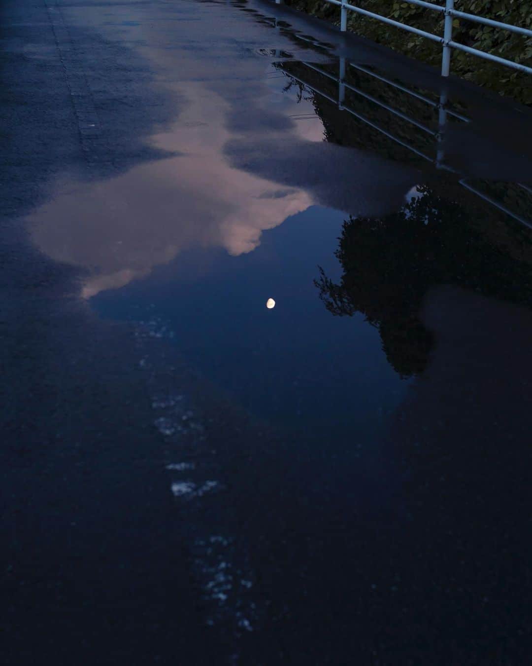 国分真央さんのインスタグラム写真 - (国分真央Instagram)「. 雨や曇りの日の、静けさが好きです ⁡」3月18日 18時26分 - mao_kokubu