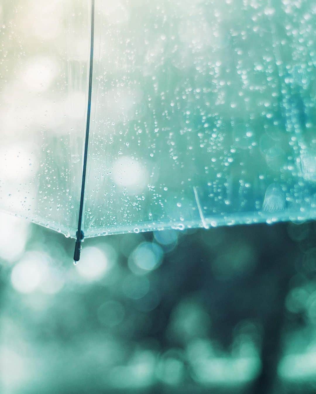 国分真央さんのインスタグラム写真 - (国分真央Instagram)「. 雨や曇りの日の、静けさが好きです ⁡」3月18日 18時26分 - mao_kokubu