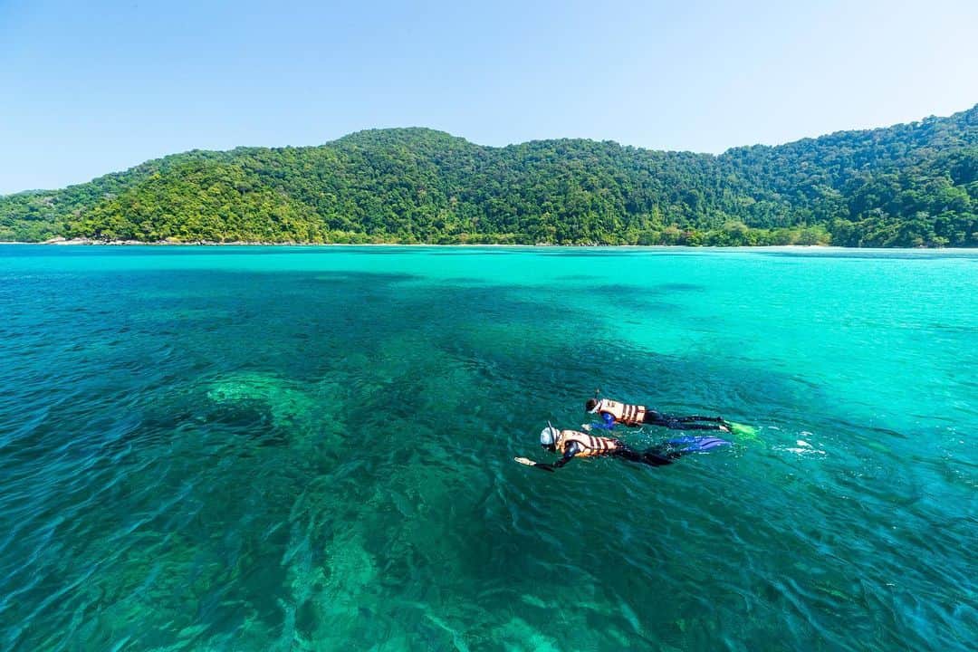 タイ国政府観光庁さんのインスタグラム写真 - (タイ国政府観光庁Instagram)「. ༉‧₊˚ 🇹🇭わざわざ行きタイ旅！ ⠀ ⋯⋯⋯⋯⋯⋯⋯⋯⋯⋯⋯⋯✈  毎週土曜日は、まだあまり知られていないタイの秘境スポットをご紹介♪   今回はパンガーの「スリン諸島」へ✨  アンダマン海に浮かぶスリン諸島は、国立公園に指定されている秘境✨島にはクルーズ船でしかアクセスできず、手付かずの美しい海が残されているエリアです🐠💙  ダイビングの聖地ともされ、特にスリン南のアオパッカートやアオタオ、アオチョンカートは人気のダイブサイト（アオ=タイ語で湾の意味）🤿💕  またトリンラ島周辺は、枝サンゴの群生と、その上を泳ぐ何万匹ものデバスズメダイの群れに出会えるポイントとなっています🪸  砂地では、無数のジョーフィッシュが生息していたり、メタリックシュリンプゴビーやヒレナガネジリンボウといったハゼ類が豊富だったりと、過ごし方はさまざま🐚✨  この地に暮らす海の民”モーケン族”の文化やライフスタイルを垣間見られるのも、スリン諸島の魅力のひとつです😌  ☆「行ってみたい！」：いいね❤をタップ ★「参考になった！」：保存ボタン🔖をタップ  #タイ #パンガー #スリン諸島 #ダイビング #ダイビング旅行 #ダイビング好き  #タイでダイビング #国立公園 #今こそタイへ #こんなタイ知らなかった #もっと知りタイ #はじめてのタイ #タイ旅行 #パンガー旅行 #旅好きな人と繋がりたい #旅行好きな人と繋がりたい #海外旅行 #thailand #phangnga #phangngatrip #surinisland #nationalparkthailand #hiddengems #thailandhiddengems #amazingthailand #thailandtravel #thailandtrip #thaistagram #lovethailand #amazingnewchapters」3月18日 18時39分 - amazingthailandjp