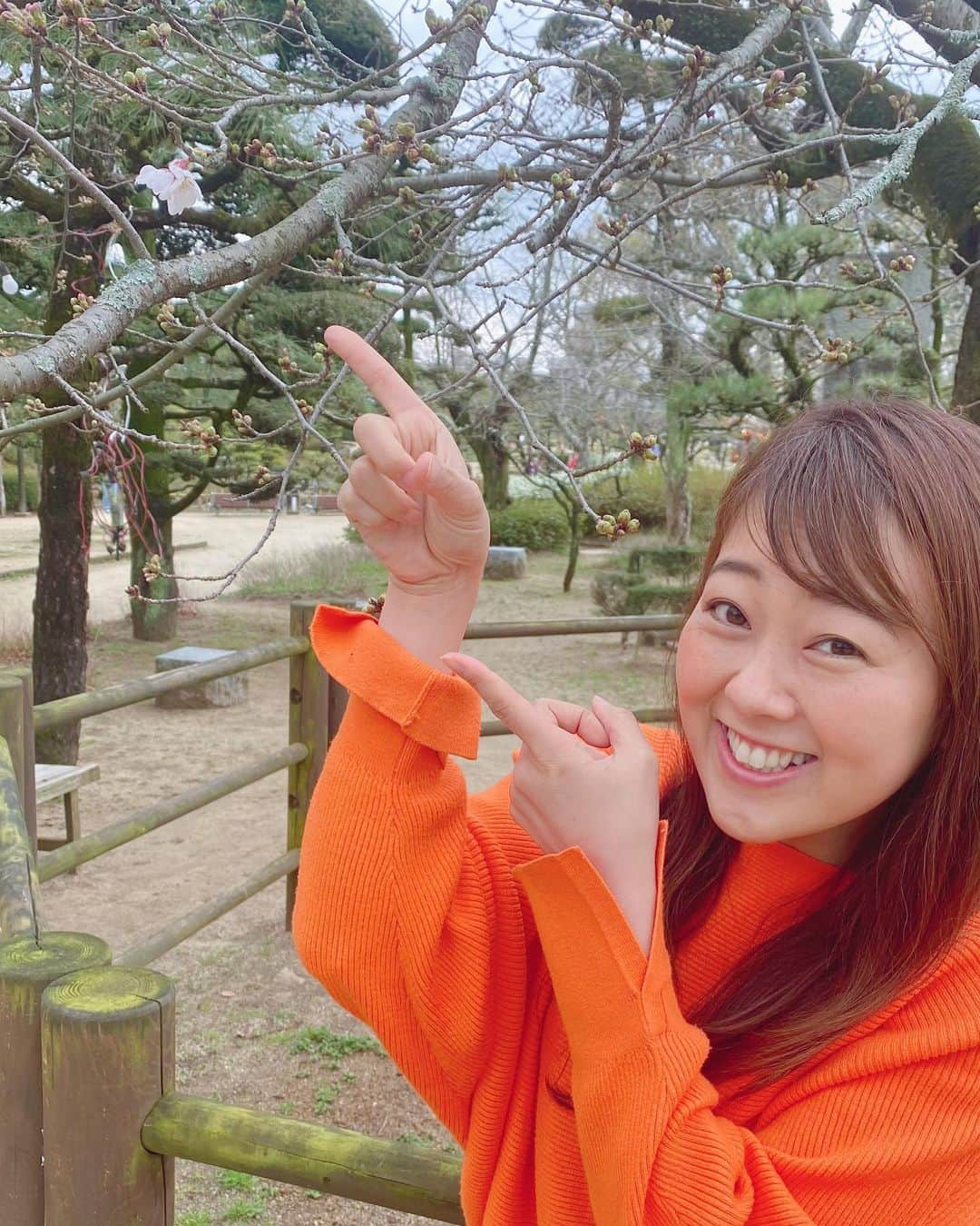 滝香織さんのインスタグラム写真 - (滝香織Instagram)「. . 雪山連投しましたが、今日はニュース担当で、#桜開花 の取材でした✨ たまたま土日ニュースの担当が今日で、なんと！松山のサクラの開花発表の瞬間に立ち会えました😆😆😆 午前中に6輪花開き、開花宣言！！ なんてラッキー😂  以前はお天気を担当していたこともあって、道後公園の標本木に通ったり、松山気象台の方に大変お世話になったりしていました。久しぶりに開花発表する瞬間に巡り会えて、心躍りました😂  やっぱり桜が咲くっていいですねぇ✨ これからいよいよ春本番🌸ウキウキ♪ お花見楽しみだなぁ🍡  #桜 #さくら」3月18日 18時53分 - kaorin_taki