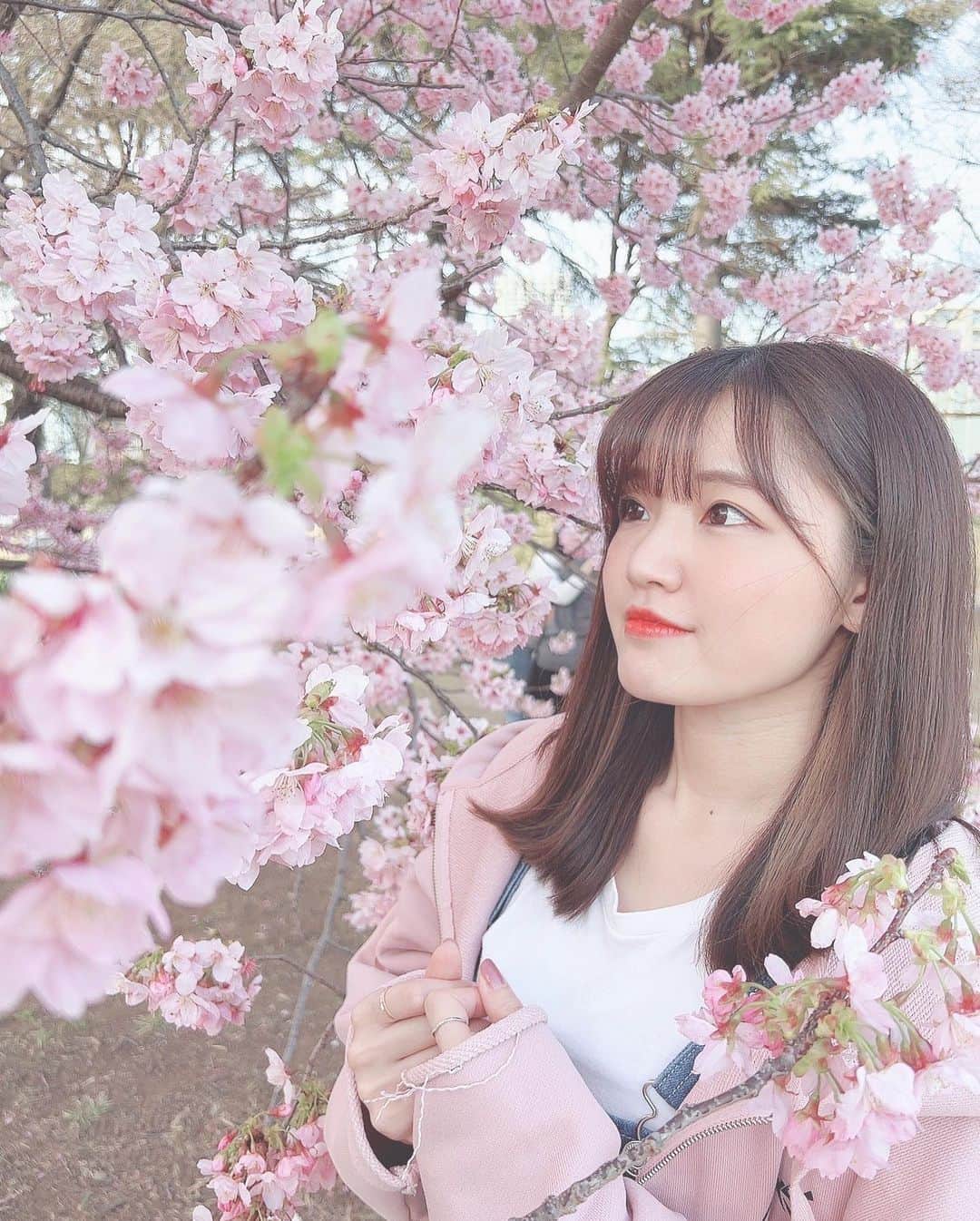 Riicoのインスタグラム：「♡♡ お友達が撮ってくれた(՞ . .՞)♡ 🌸桜の中に入ってしあわせ🌸 ・ #お花見　#桜　#sakura #春」