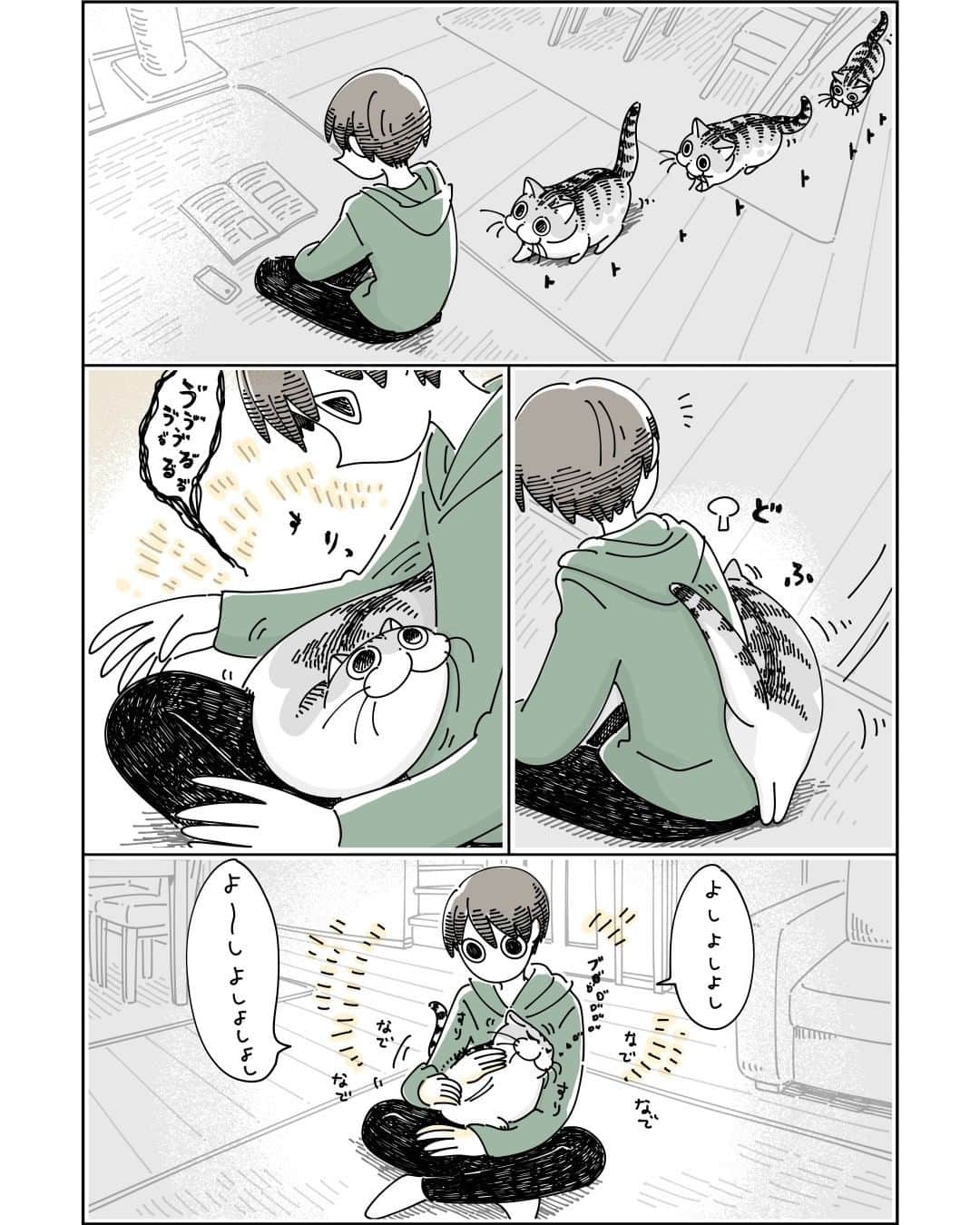 キュルZのインスタグラム：「なでたところを気にするネコ  #キュルガ #夜は猫といっしょ #猫 #cat #猫漫画 #猫のいる暮らし」