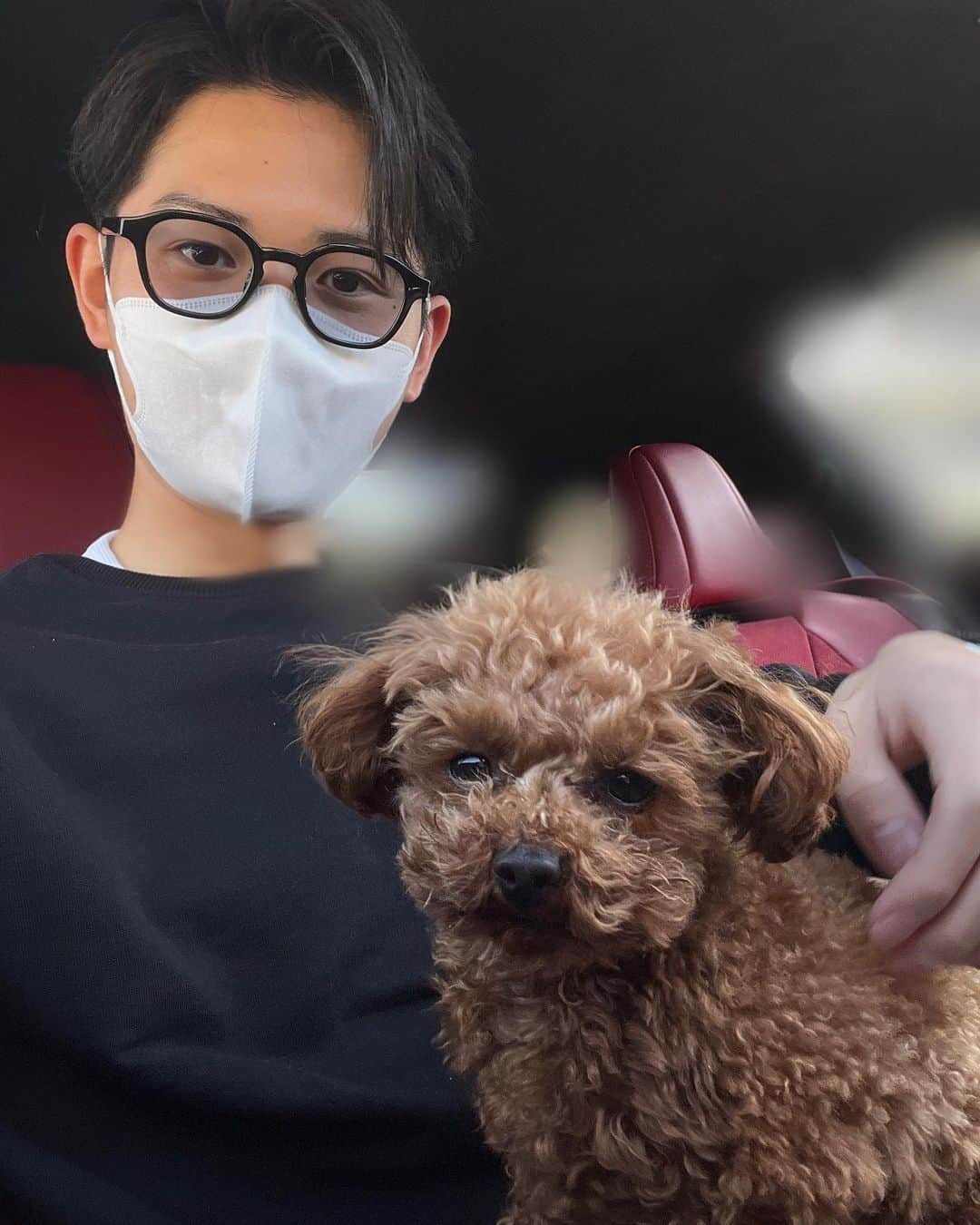 江原蓮さんのインスタグラム写真 - (江原蓮Instagram)「. 犬」3月18日 20時17分 - ehararen