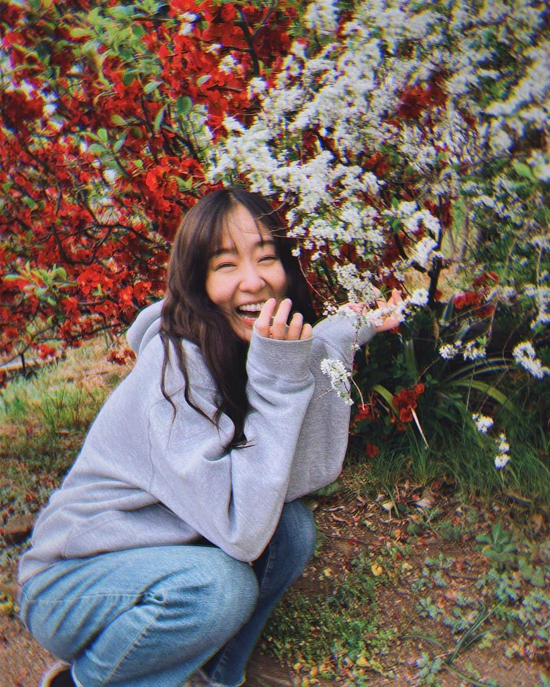 廣岡聖のインスタグラム：「縁起が良さそうな配色🔴⚪️  #flower#spring#tokyo#japan#asiagirl#紅白#春#公園#縁起がいい#お花見行きたい」