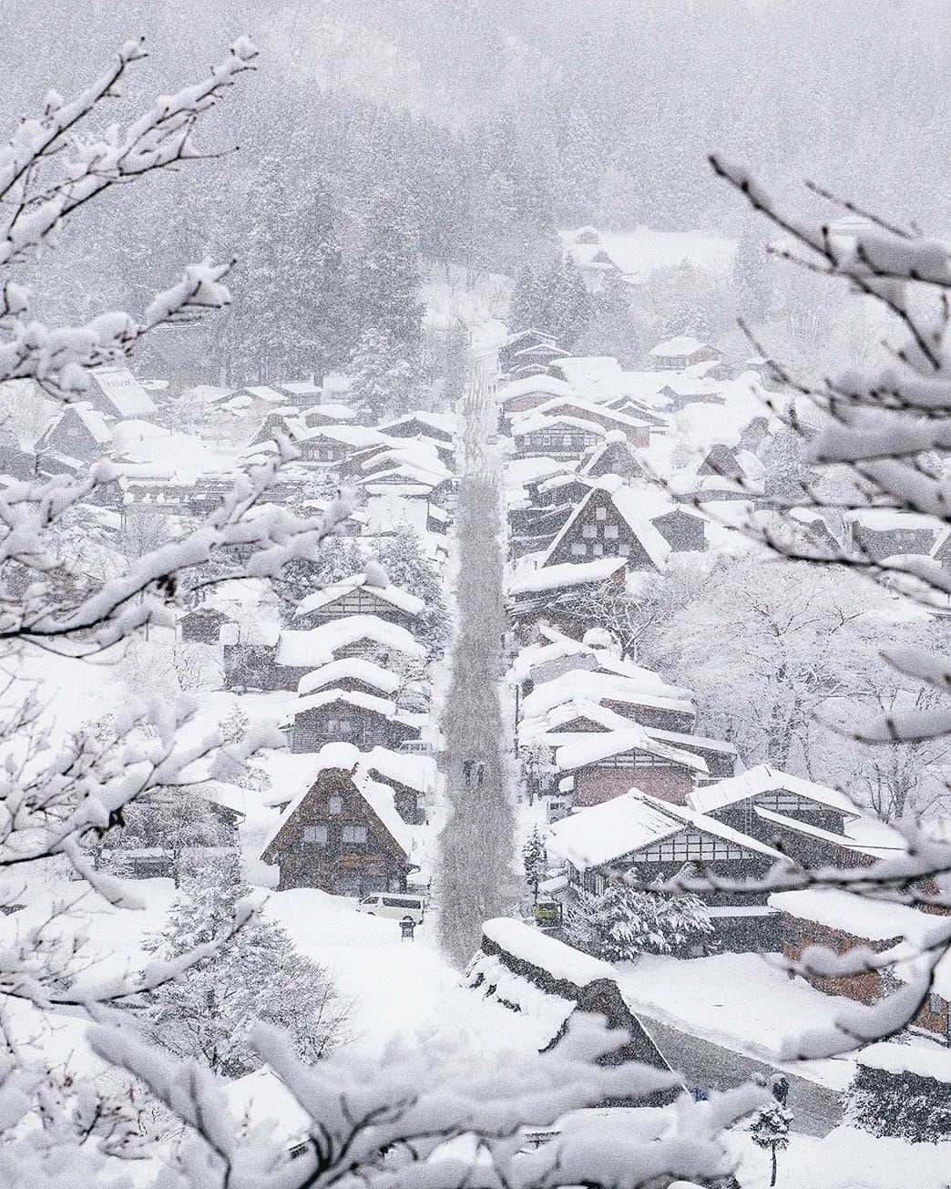 Berlin Tokyoのインスタグラム：「We passed through many tunnels and visited a Japanese traditional style village with 300-year-old houses surrounded by snow-covered mountains. . . . # teamnakayoshi . #hellofrom shirakawago, gifu #japan」