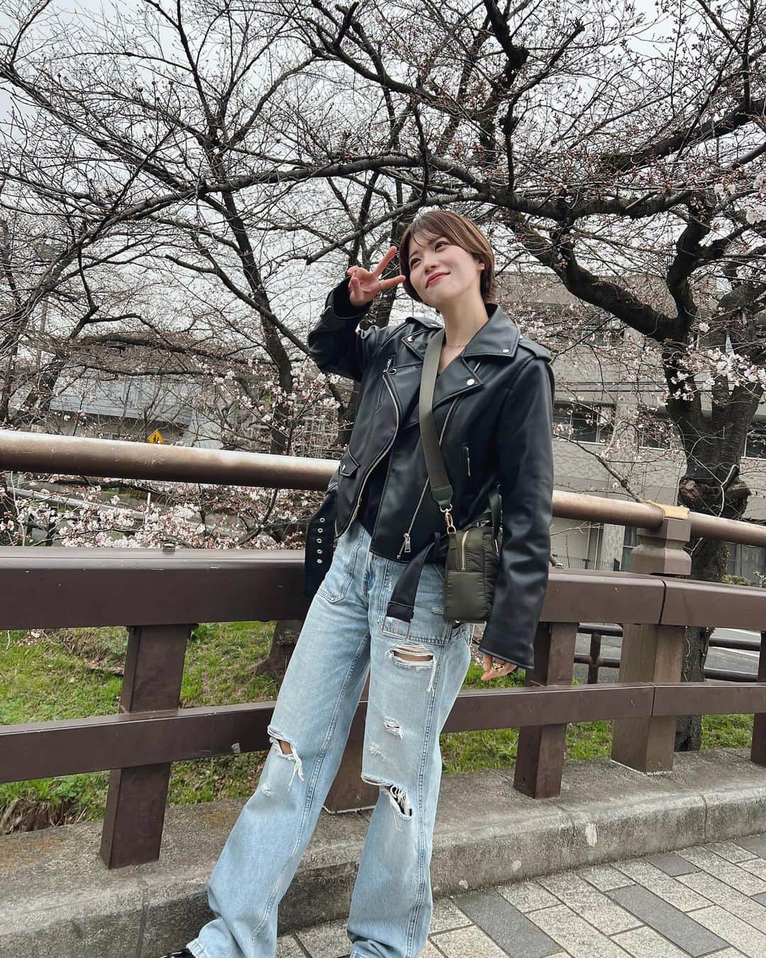 羽柴なつみのインスタグラム：「🍡」