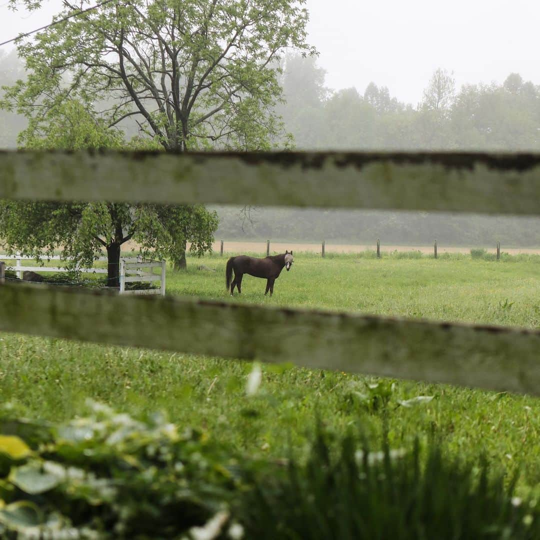 FOLKさんのインスタグラム写真 - (FOLKInstagram)「I dream of the greens. I dream of the warmer days. The time spent in the sun. The hours of laborious tasks in the garden, each done with such a joy and an appreciation for the green we are surrounded by. #spring #lancaster」3月18日 23時28分 - folkmagazine