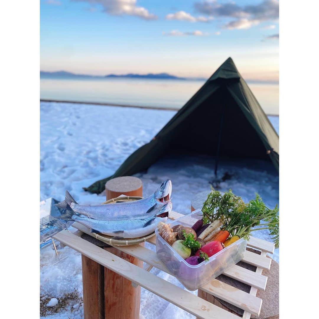 森夏美さんのインスタグラム写真 - (森夏美Instagram)「. 真っ白な雪の下には、 こーんなに色鮮やかなにんじんが✨ 紫、黄、白まであるんですよ😳  そして、びっくりするほど甘くて、 生でポリポリ食べるのがほんとうに美味しかったな〜  雪中キャンプ、YouTube/ロキポで公開中です🏕 「さばいどるかほなんのソロキャンパー養成塾」 ぜひご覧くださいませ☺️  #雪中キャンプ #サバイバル #camp  #🏕 #🔥 #🥕#❄️ #🎣 #滋賀県 #琵琶湖 #ビワマス #釣り #東海テレビ #アナウンサー #森夏美」3月18日 23時42分 - mori_natsumi0722
