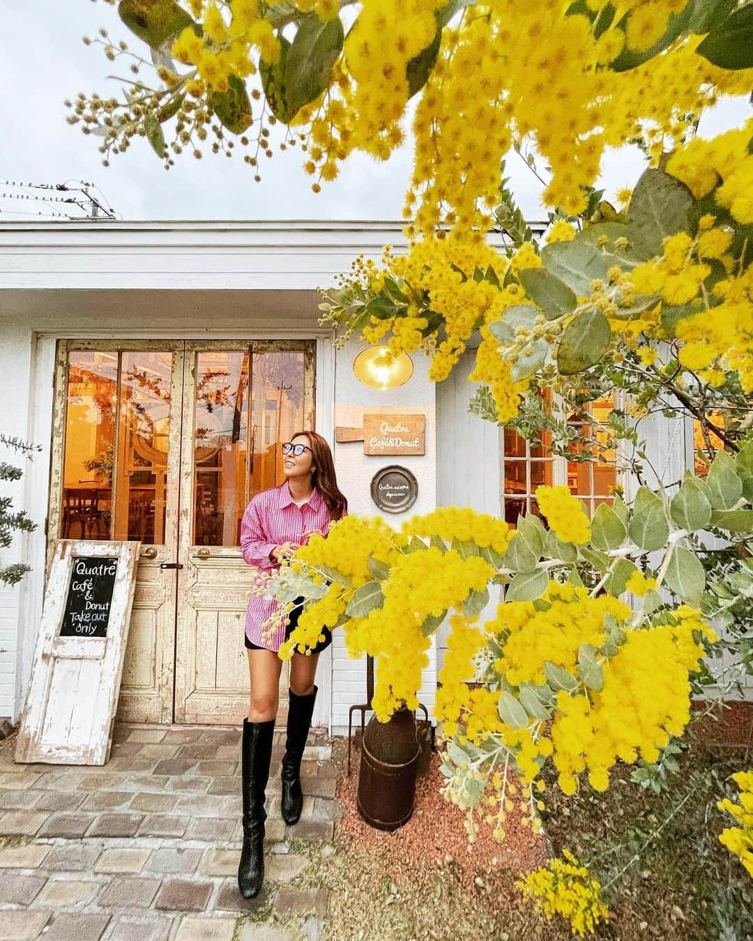 MIMIさんのインスタグラム写真 - (MIMIInstagram)「💛💛💛  ミモザの花がかわちい💛   #ミモザ #ミモザの花 #Quatre #quatrecafeanddonut  #Donut #cafe  #café #ドーナツ屋さん  #ドーナツ #カフェ #カフェアンドドーナツ #伊勢崎 #伊勢崎カフェ #伊勢崎グルメ  #群馬県 #群馬カフェ  #Spring #春 #かわちい #tabijyo_cafe  #tabijyomap_japan  #genic_cafe  #cafelover  #カフェ好き #cafetime  #Springcode #春コーデ #ストライプシャツ #ピンクコーデ#mimitrip_2023」3月18日 23時58分 - mimi___1121