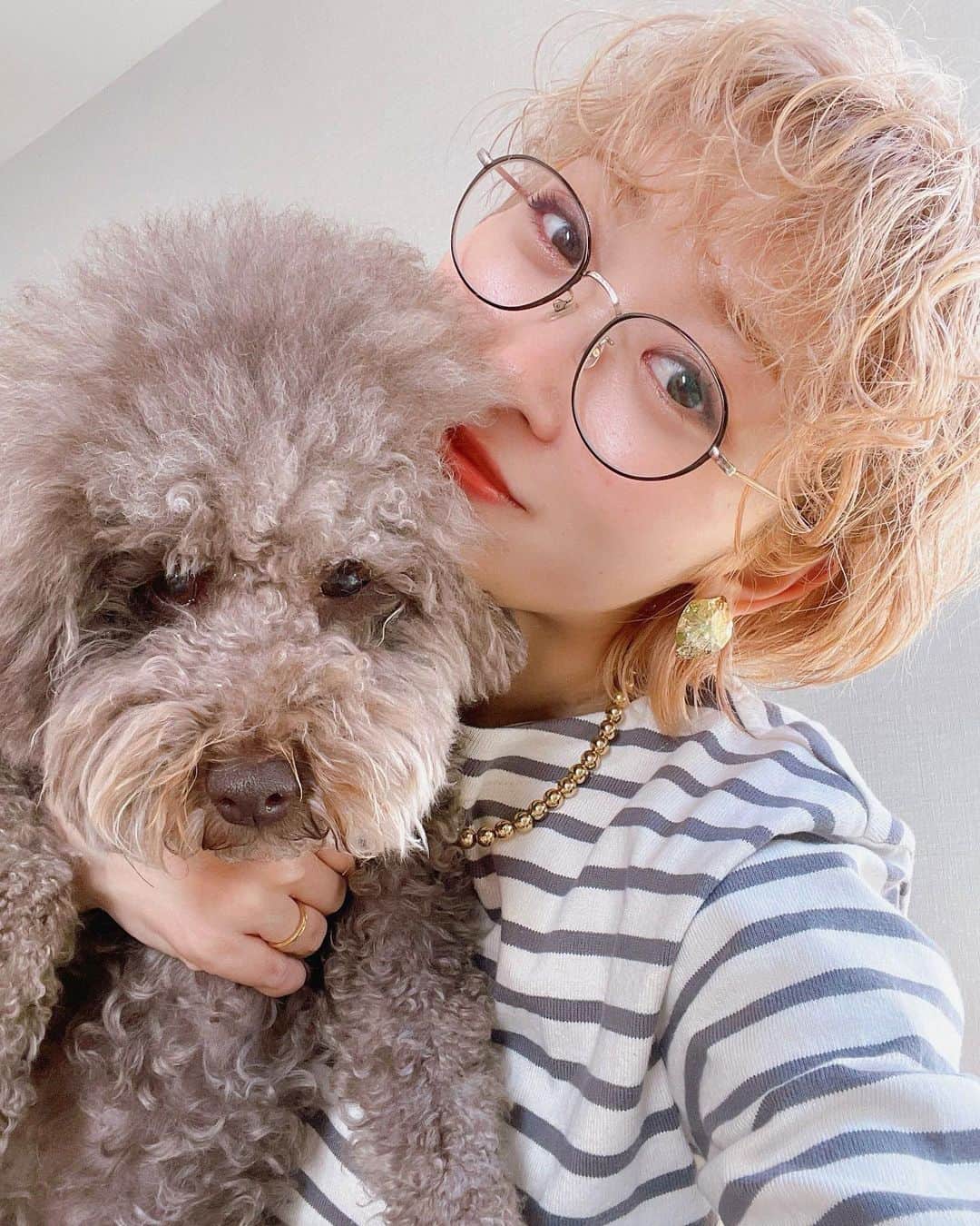 くまみきのインスタグラム：「髪型おそろ🐶 もじゃ、もうすぐ6歳です🫶  #トイプードル #トイプードル男の子 #もじゃもじゃ #くせ毛 #くせ毛を活かす #癖毛ショート #ショートヘア #ショートウルフ #ボーダー #ボーダートップス #無印良品 #めがね女子」