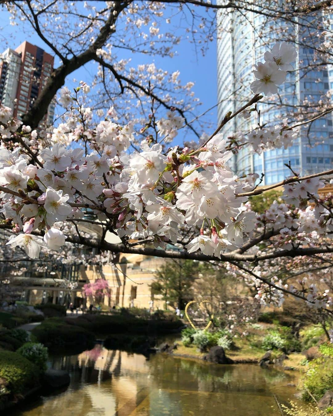 テレ朝newsさんのインスタグラム写真 - (テレ朝newsInstagram)「きょうの関東は天気回復☀️日中の気温は、きのうより高くなって、春の陽気になるでしょう。  #テレ朝 #テレ朝news #ニュース #六本木  #roppongi #tvasahi #news #japan #follow #フォロー #写真 #テレビ局 #動画ニュース #天気 #天気予報 #いまそら」3月19日 10時53分 - tv_asahi_news