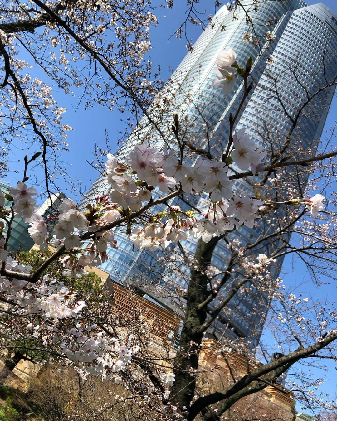 テレ朝newsのインスタグラム：「きょうの関東は天気回復☀️日中の気温は、きのうより高くなって、春の陽気になるでしょう。  #テレ朝 #テレ朝news #ニュース #六本木  #roppongi #tvasahi #news #japan #follow #フォロー #写真 #テレビ局 #動画ニュース #天気 #天気予報 #いまそら」