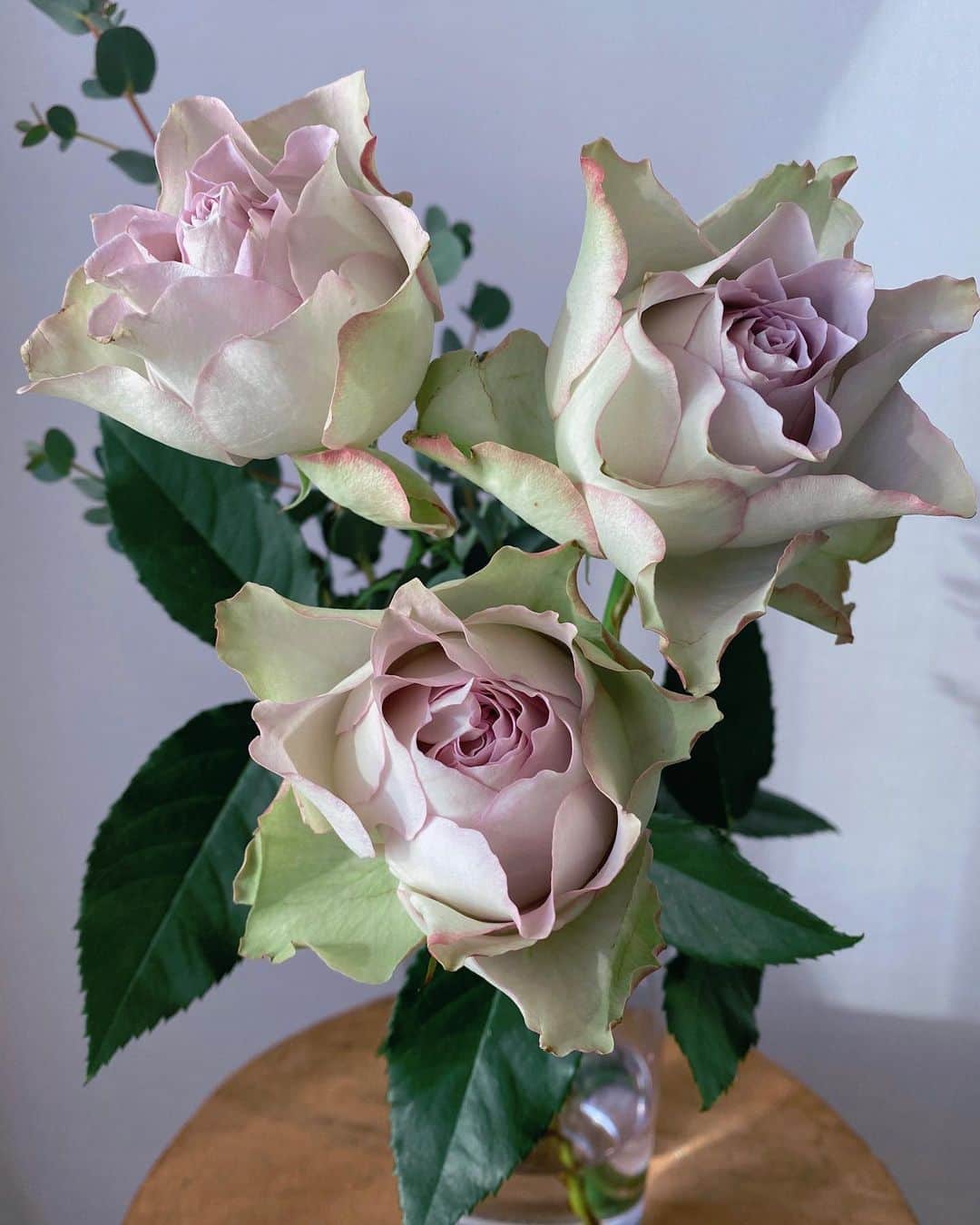 岡田ロビン翔子のインスタグラム：「なんともいえない初めて見る色の薔薇が綺麗でまじまじと見てしまう、かわいい〜」