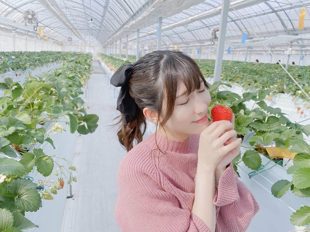 秋波愛さんのインスタグラム写真 - (秋波愛Instagram)「✿.*  おはようございます🧸💓  お休みの日は何して過ごしてる？😌💭  #ストロベリーノ下田 #いちご狩り  #いちご狩りコーデ #ポニーテール  #strawberryhunting #strawberry #🍓  #ponytail #japanesegirl #kawaii #cute」3月19日 9時11分 - akinamiai