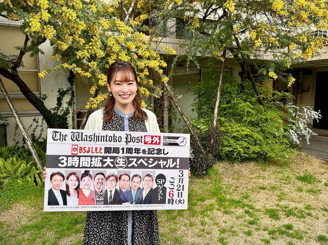 のインスタグラム：「＼号外📰✨／  みなさんどんな週末をお過ごしですか？😌  いよいよ、春分の日の21日(火•祝)は BSよしもと開局１周年📺✨  ワシんとこ・ポストは、 いつもより１時間早い午後６時〜 ３時間スペシャルです👏  レギュラーメンバーに加えて、 総勢約１５名の豪華ゲストの皆様とお届けします🤩  BS 265chはもちろん、ホームページからも生配信していますので スマホやパソコンからもぜひご覧ください✨  #ワシんとこポスト #BSよしもと #BS #よしもと #吉本興業 #吉本 #ニュース #ニュースショー #news #ニュース番組 #特番 #BSよしもとアナウンサー #アナウンサー #佐竹美希   #吉本中庭のミモザ見頃です🌼」