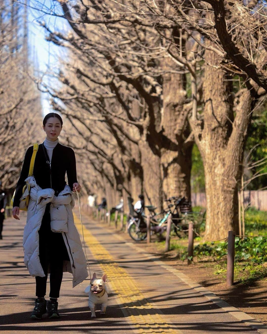 川原亜矢子さんのインスタグラム写真 - (川原亜矢子Instagram)「桜を探しに #tokyo #dog #frenchbulldog #sundayfunday #cherryblossom #フレブル #お散歩 #bioshowerdogs」3月19日 19時54分 - ayakokawahara