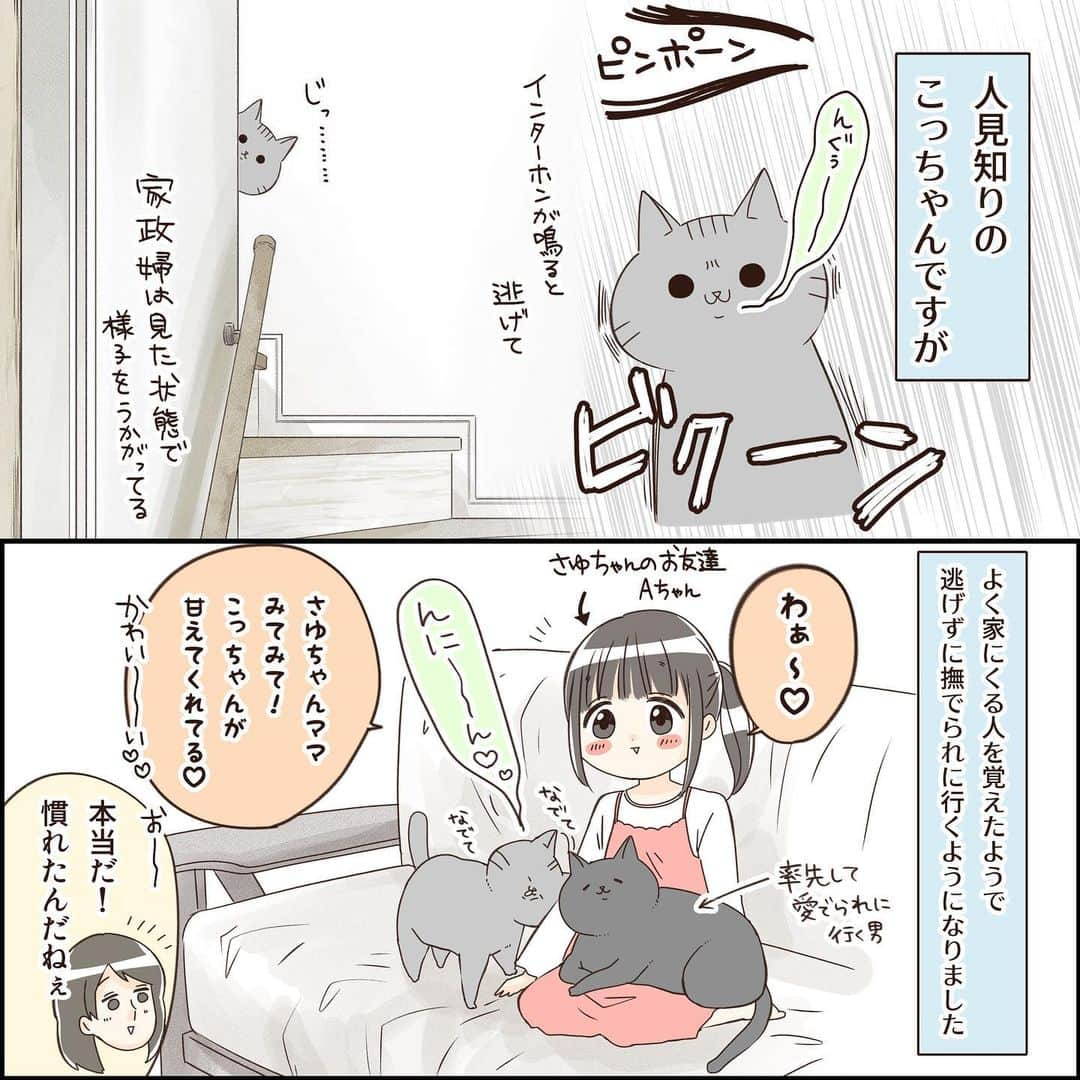 こじめのインスタグラム：「【ジェラシー】  一番可愛がられないと許せない男  #エッセイ漫画 #コミックエッセイ #漫画 #猫漫画 #にゃんすたぐらむ  #保護猫 #黒猫  #猫のいる暮らし #catcomic」