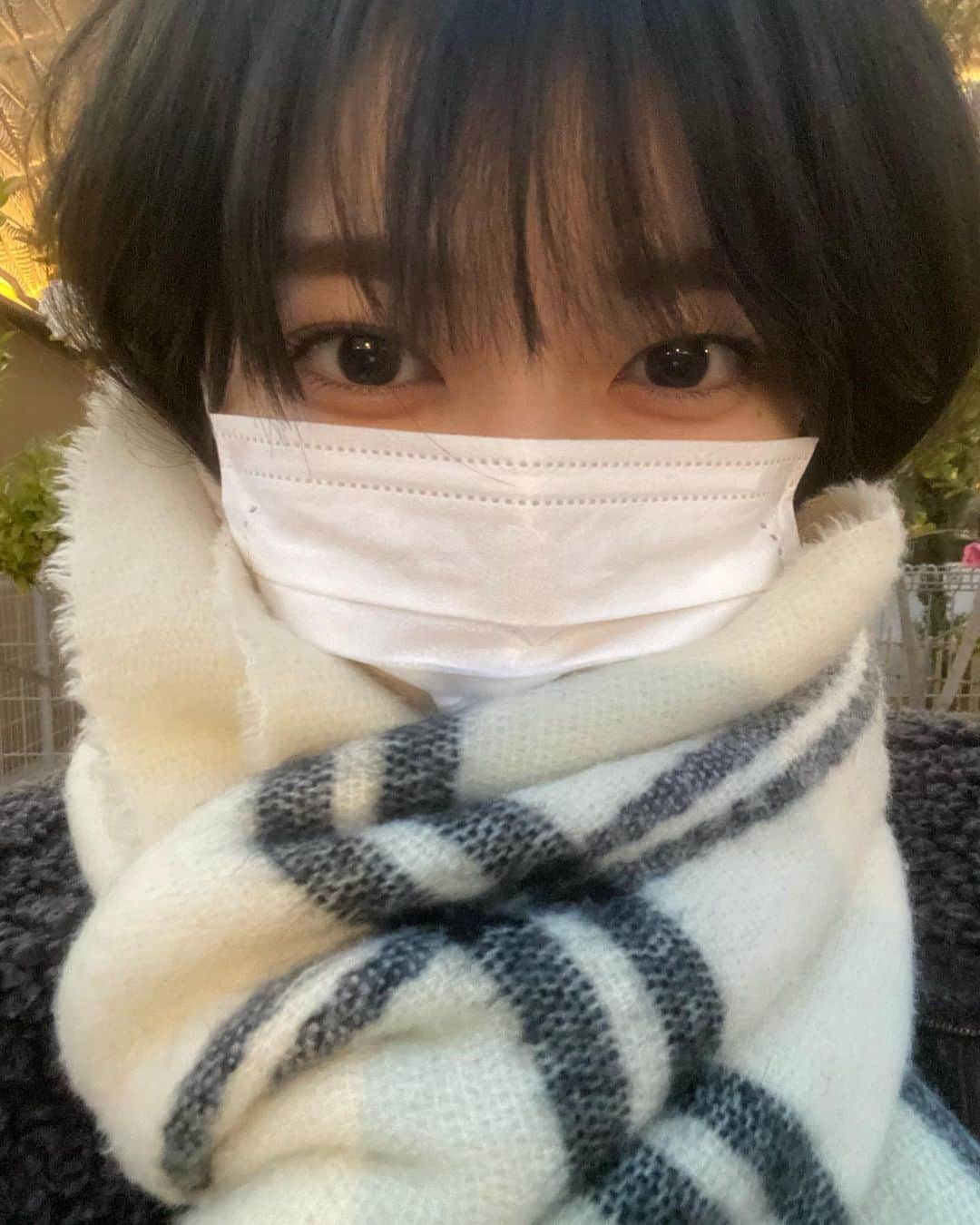 吉田華恋のインスタグラム：「冬が恋しい」