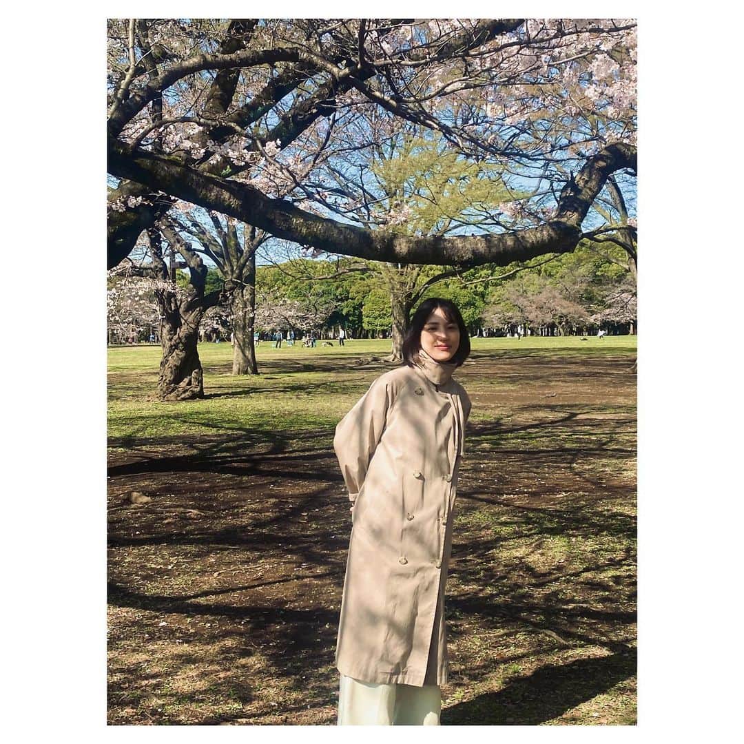今泉マヤさんのインスタグラム写真 - (今泉マヤInstagram)「🌸  妹に撮ってもらった写真 ２  #cherryblossom #彼氏感」3月19日 20時03分 - maya.imaizumi