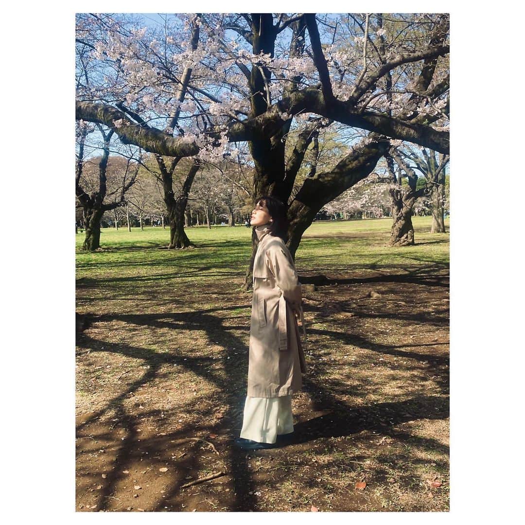 今泉マヤさんのインスタグラム写真 - (今泉マヤInstagram)「🌸  妹に撮ってもらった写真 ２  #cherryblossom #彼氏感」3月19日 20時03分 - maya.imaizumi