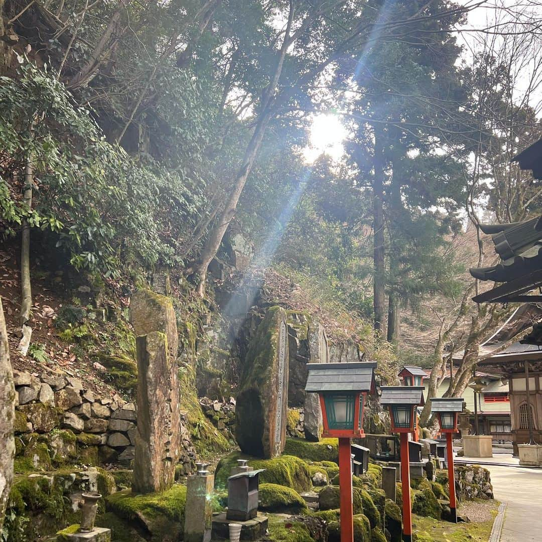 薮下柊さんのインスタグラム写真 - (薮下柊Instagram)「大好きな能勢☺️🌱  #能勢 #自然」3月19日 12時30分 - __yabushita_shu__