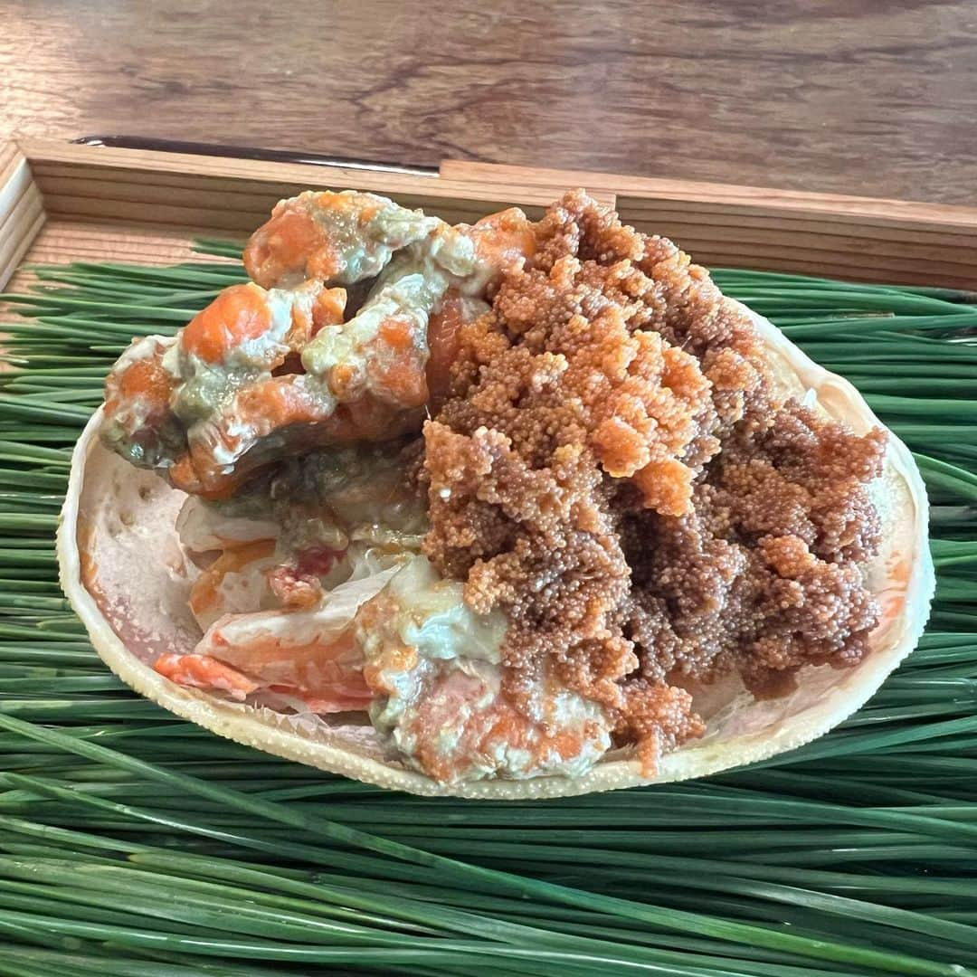 Masayasu Moritaのインスタグラム：「松川さんが大好きすぎるのですが、 #蟹 、最高ですね。  #もりたま飯 #foodie #foodgasm #foodphotography #foodstagram #美食 #グルメ #instaeats #instafood # #instafoodie #toptokyorestaurants #tokyogourmet #wheretoeattokyo #tokyorestaurants #japanesefood」