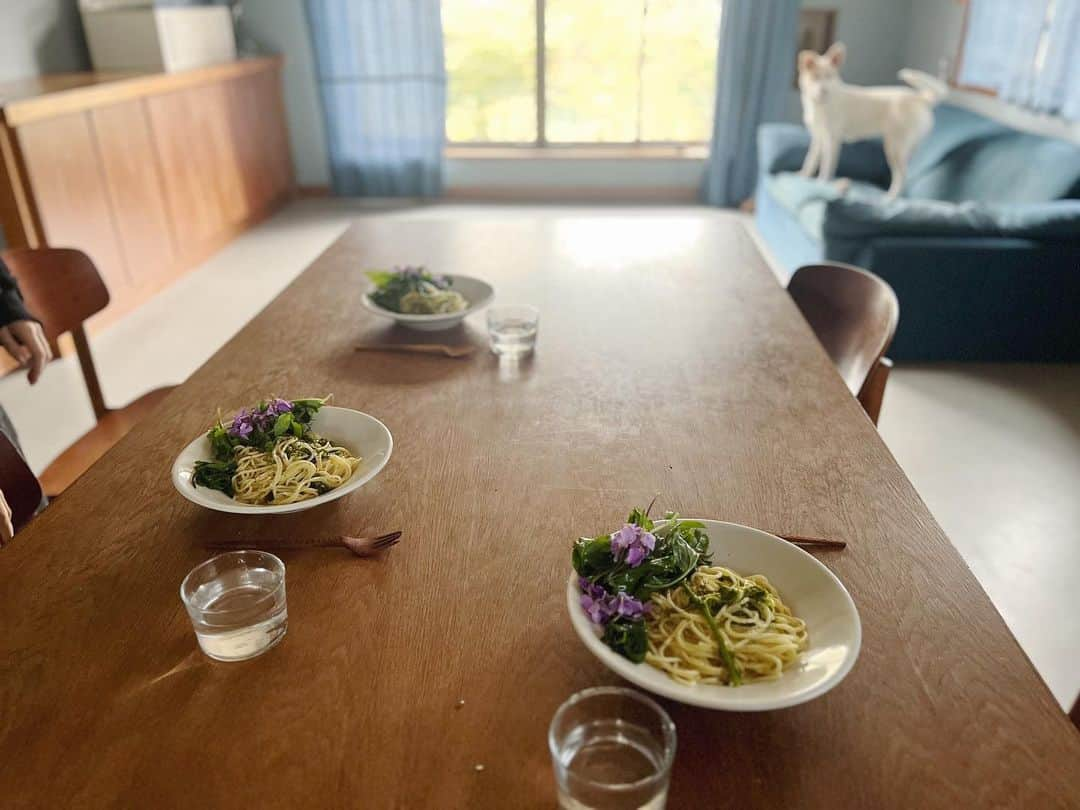 nonさんのインスタグラム写真 - (nonInstagram)「毎日草か花食べてる　  菜花、花大根、カンゾウ、ヨモギ、フキノトウ  散歩のたびに摘んで 春は楽しい＆ それだけでもごはんがなんとかなる  菜花は今はまだ柔らかいから 生でも美味しいし 油で炒めても美味しい  花大根は茎も葉も花もサラダに  カンゾウやヨモギやフキノトウは茹でたり 粉と混ぜて天ぷらやチヂミにしたり  先日のvoicyでも そんな食べられる草花の話しをしましたので  よかったら聴いてみてください🌼  voicy、今夜 プレミアム放送をする予定です  昨日は 花種さんの通うシュタイナー学園で「成長の記録」を親がもらう日でした  成績表もテストもない シュタイナー学校で、 子どもの1年間の学び•成長を 担任の先生をはじめ、 授業を受け持ってくれた先生方が一人ひとりに書いてくれる冊子です  5年生までは 親だけが見るものだったけれど 6年生からは子ども本人も、見ることができます  子ども自身も見る「成長の記録」は、 娘に語りかけるような 娘の背中に優しく触れて、でも決して押すことはない  押されなくても、あなたの力で進めるよって  手を添えてくれているような、そんな感じがする言葉たちの連なりでした  感動しました  誰でも 好きなこと得意なこと、苦手なこと難しいことがある  がんばれることも なまけることもある  一人ひとりちがうその子のペースを見守りながら 「あなたならできるよ」って 信じてくれる人たちがそばにいることは  きっと娘が自分自身を信じていく力になっているんだな、 ほんとうに幸せだな、と思いました  そんなあたりの話しを今夜はしようと思っています  シュタイナー教育や オルタナティブ教育に興味あるなーって人もよければぜひ 📻  #家族と一年商店 #エシカルライフ #voicy #シュタイナー教育」3月19日 12時46分 - non19841120