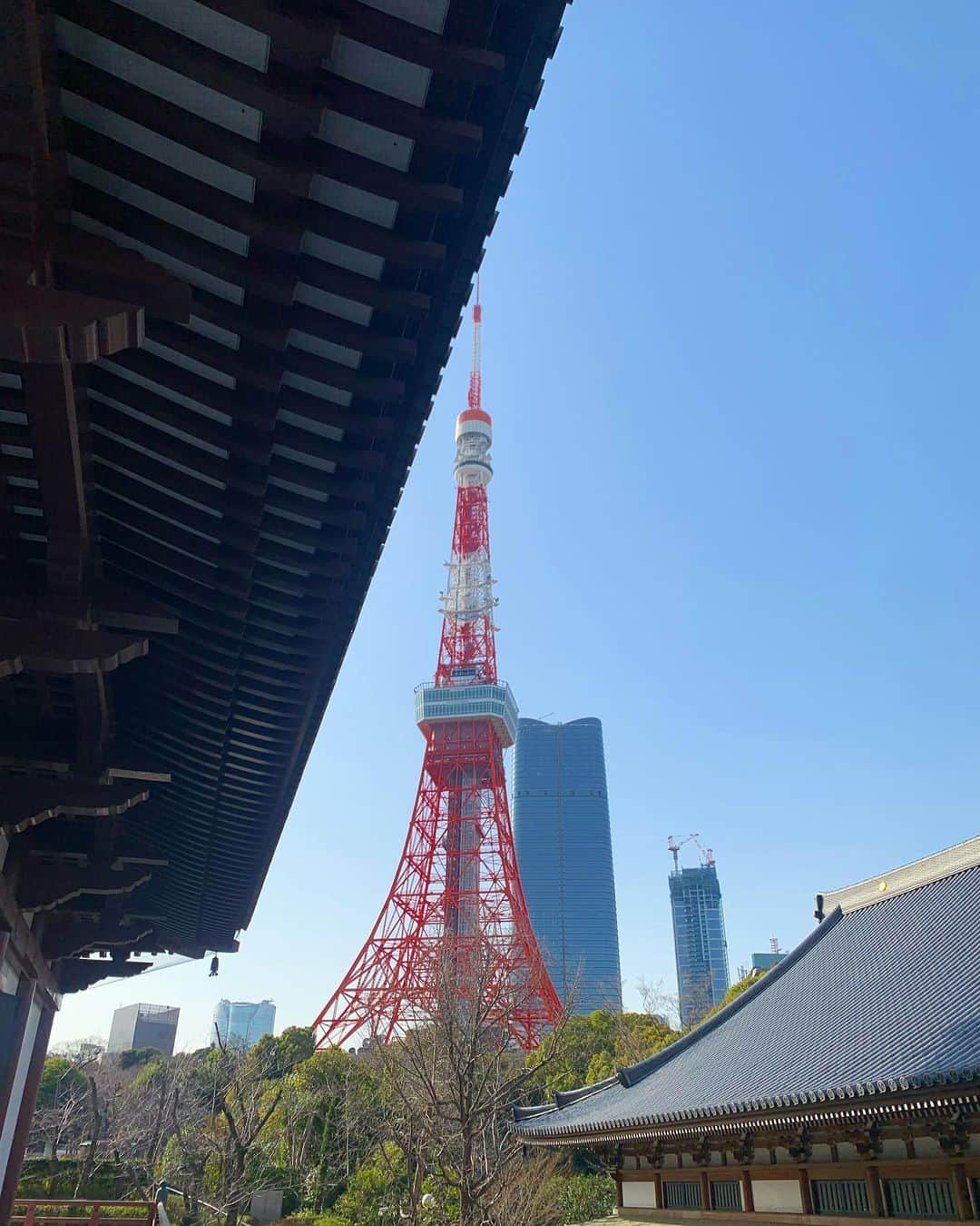 ゆうりちゃんさんのインスタグラム写真 - (ゆうりちゃんInstagram)「祖母が東京へ🗼 一緒にたくさん観光しました！  お天気がいい日は東京タワーや浅草へ✨ 雨の日は品川アクアパークへ🐠  桜はまだでした🌸  これからも元気で長生きして欲しいですね🌸  #東京タワー#品川アクアパーク」3月19日 12時59分 - yuurichangram