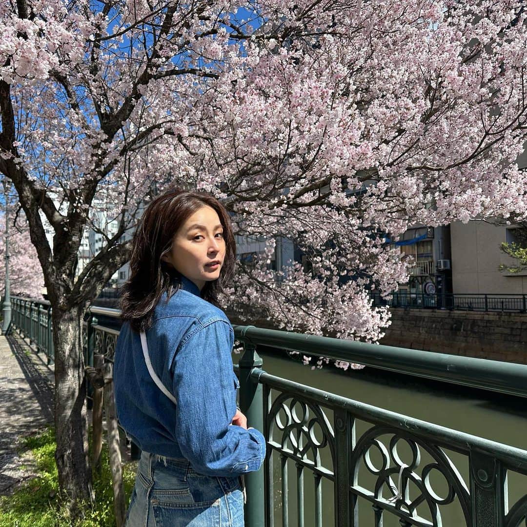 高須みほのインスタグラム：「🌸」
