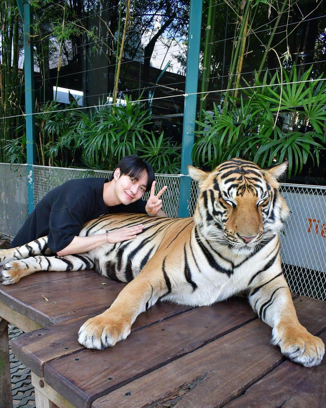 イ・ミンホのインスタグラム：「🐅🐅🐅」