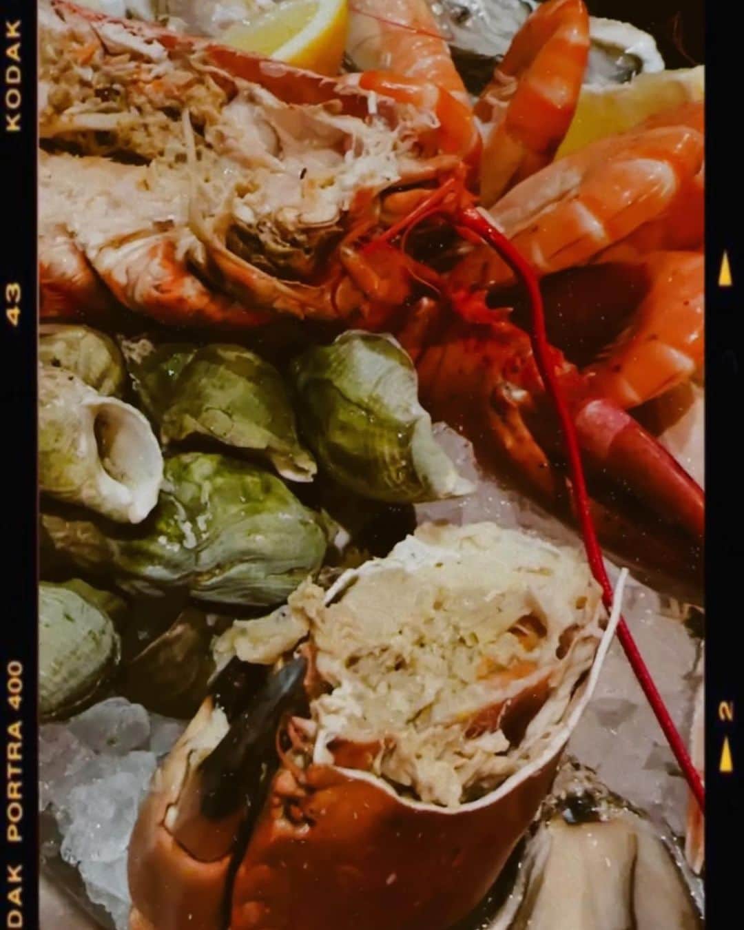 フィオナ・シットさんのインスタグラム写真 - (フィオナ・シットInstagram)「go ahead take the lobster .」3月19日 13時52分 - physit
