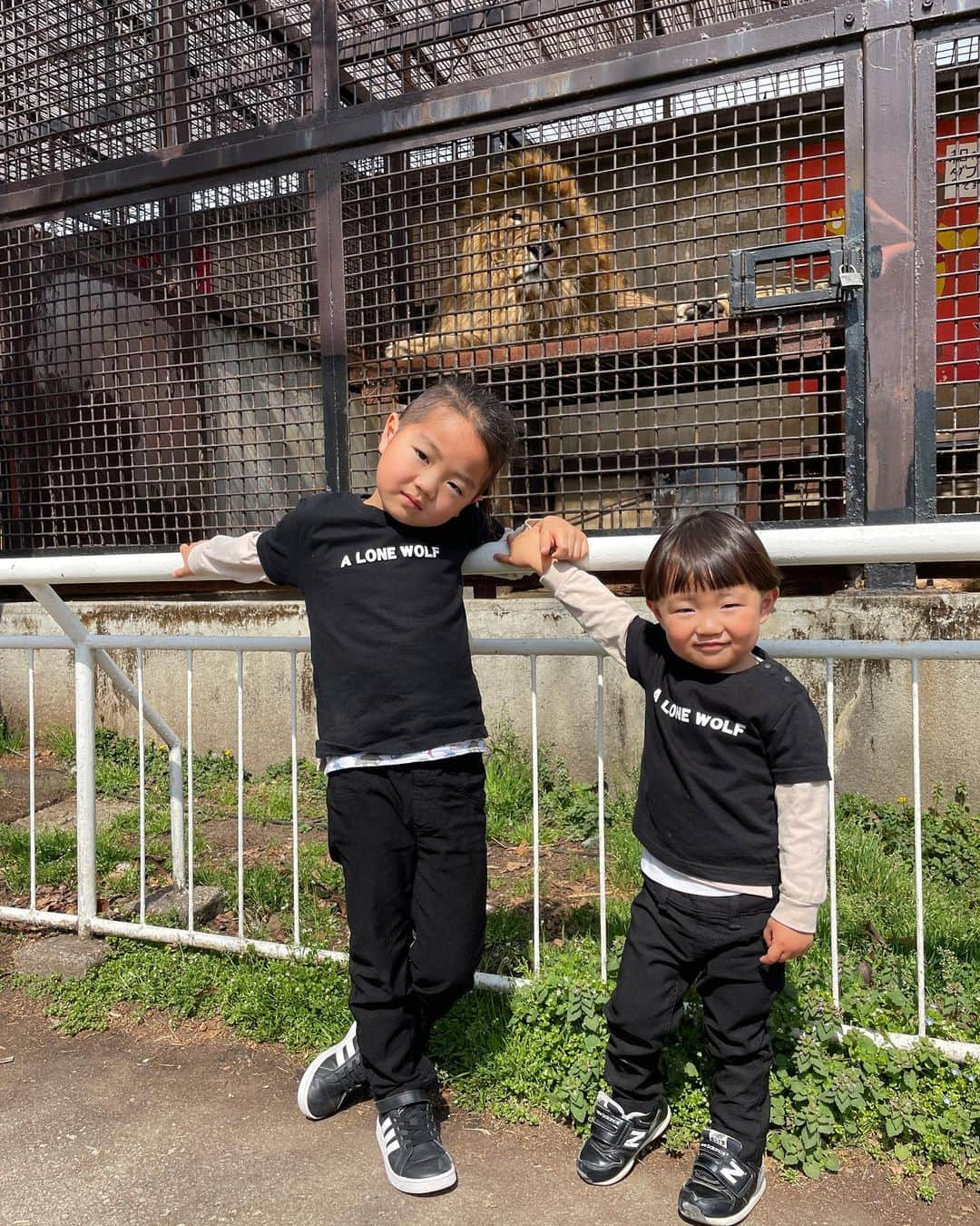 渡部太基のインスタグラム：「. 動物たちと触れ合う🦁🦒🐘🐴🐯 #宇都宮動物園」