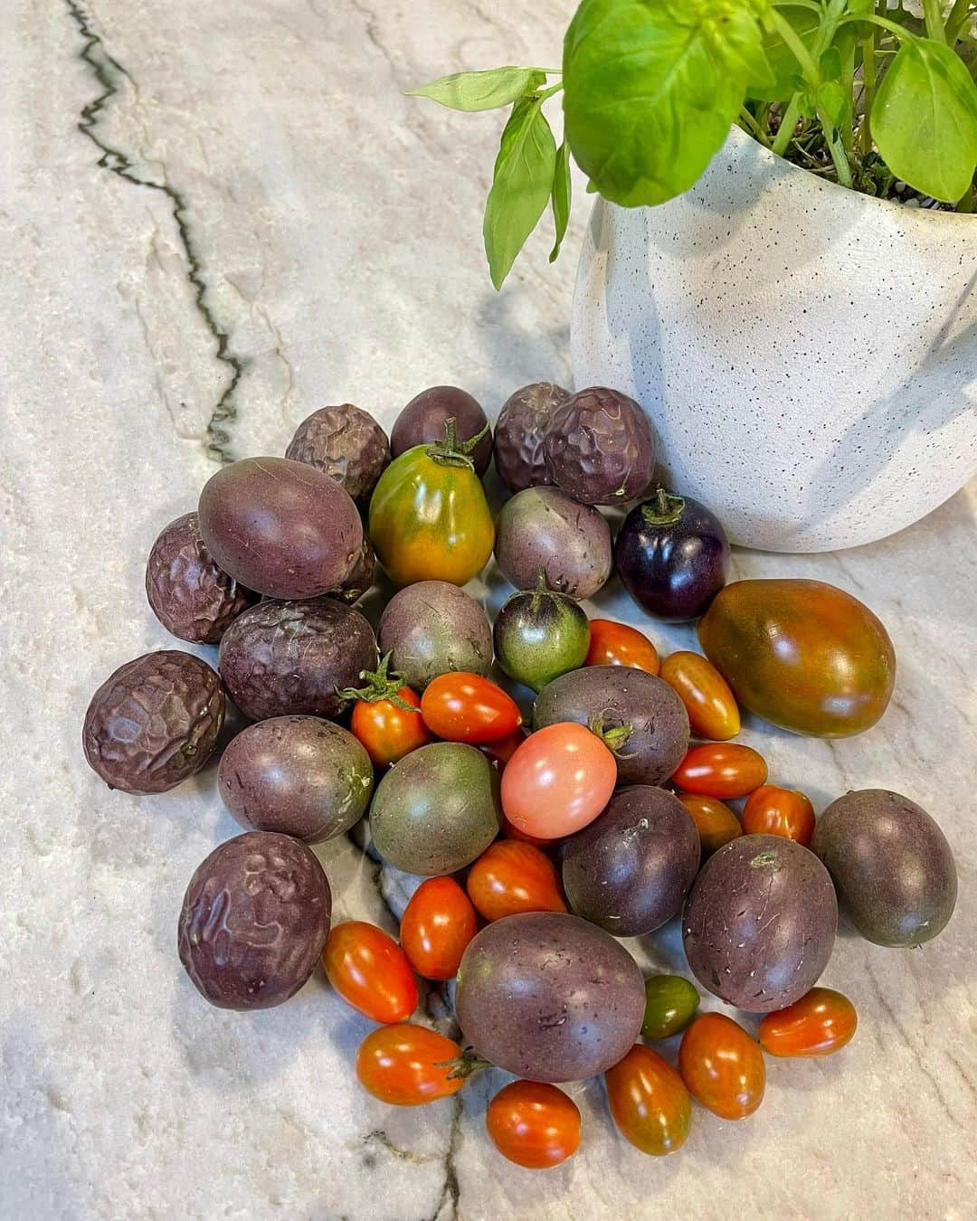 エミリー・デ・レイヴィンのインスタグラム：「Todays bounty from the garden 🥰🪴🫶🏼」