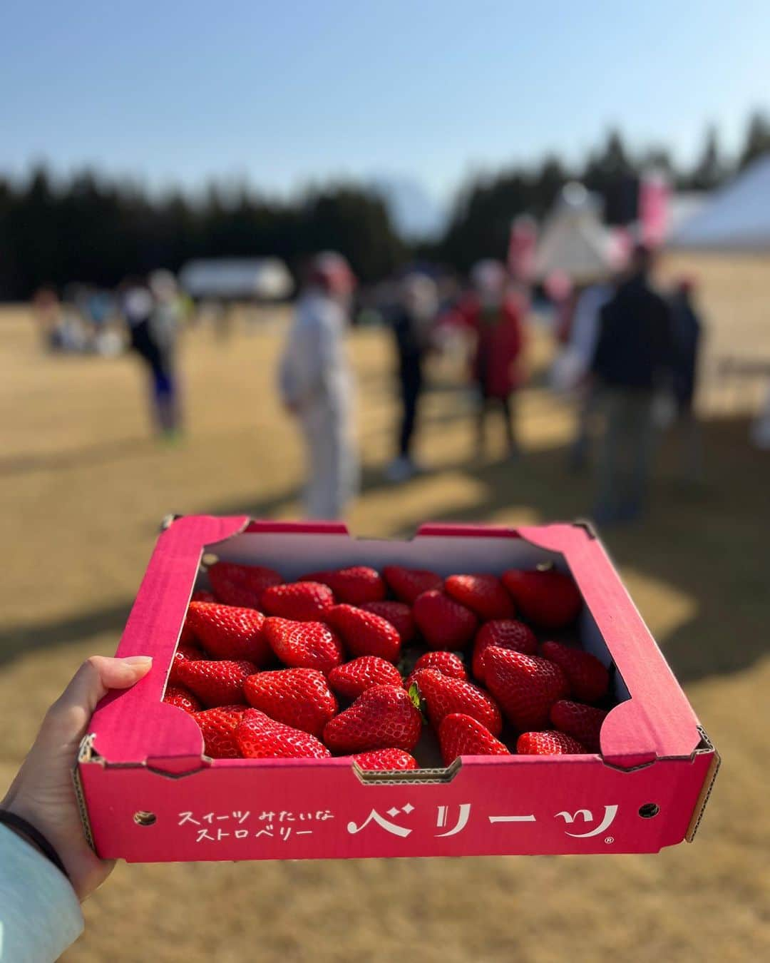 湯田友美さんのインスタグラム写真 - (湯田友美Instagram)「由布院♨️ ゆふいんSPA健康リレーマラソン おじゃましてきました😊 1.5kmのクロカンのようなコースを使って リレーマラソン、6km、9kmの部😁 コースはきついけど、終始、賑やかでワイワイしている楽しい大会でした✨☺️  由布岳を見ながら、広い敷地を、仲間と家族と自由に使えるこの時間、最高の時間だなーって何度も参加者の皆さんを見て思った🥹✨ 九州の方は、是非☺️  走った後の由布院の温泉が最高🍮♨️ 個人的には、かっこいい由布岳を次は登りにきたい🤩🏔✨  #ゆふいんSPA健康リレーマラソン #由布院 #大分 #由布岳 #温泉 #ベリーツ #リレーマラソン」3月19日 16時11分 - yudatomomi