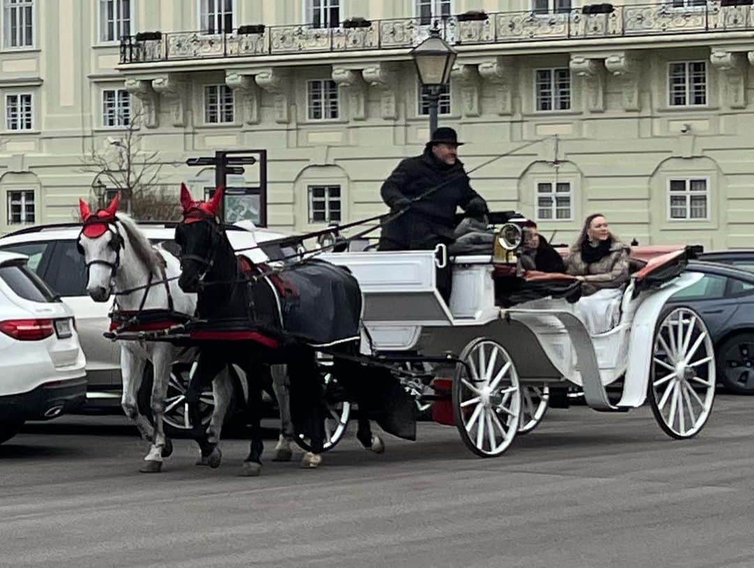 鰻和弘さんのインスタグラム写真 - (鰻和弘Instagram)「【ドイツチェコオーストリア1人旅19】  ウィーン。街中を歩いていると見かける馬車。ゆっくりですが、普通に馬が歩いてる。写真は撮り忘れましたが、馬車の停留所みたいな所も発見。そこから乗って街を散策できる。  ウィーン在住の方でも乗った事ない人多いみたい。まぁ別に乗らんでもええかと思ってた。 でも案内してくれてた方とお別れして1人になった時、急に気になり出す。  #乗りたくなってくる #葛藤 #決して安い値段ではない #乗る意味あるんか #意味とかやない #思い出作り #こんな経験はない #乗ろう #おまかせ20分コース #乗ってよかった #街並みをゆっくり観れる #歩き過ぎて足も限界にきてた #しかし独特な匂いする #お腹くだしてる匂い #馬か #馬二頭 #どっちの馬や #いや決めつけはいけない #もしかしたら馬車を操縦するおじさんの可能性も #気になってきた #いらない雑念 #馬車の思い出は #20%の景色と80%の雑念」3月19日 16時45分 - unaginigaoe