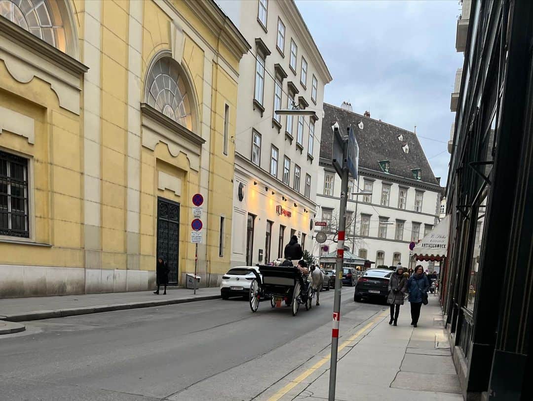 鰻和弘さんのインスタグラム写真 - (鰻和弘Instagram)「【ドイツチェコオーストリア1人旅19】  ウィーン。街中を歩いていると見かける馬車。ゆっくりですが、普通に馬が歩いてる。写真は撮り忘れましたが、馬車の停留所みたいな所も発見。そこから乗って街を散策できる。  ウィーン在住の方でも乗った事ない人多いみたい。まぁ別に乗らんでもええかと思ってた。 でも案内してくれてた方とお別れして1人になった時、急に気になり出す。  #乗りたくなってくる #葛藤 #決して安い値段ではない #乗る意味あるんか #意味とかやない #思い出作り #こんな経験はない #乗ろう #おまかせ20分コース #乗ってよかった #街並みをゆっくり観れる #歩き過ぎて足も限界にきてた #しかし独特な匂いする #お腹くだしてる匂い #馬か #馬二頭 #どっちの馬や #いや決めつけはいけない #もしかしたら馬車を操縦するおじさんの可能性も #気になってきた #いらない雑念 #馬車の思い出は #20%の景色と80%の雑念」3月19日 16時45分 - unaginigaoe