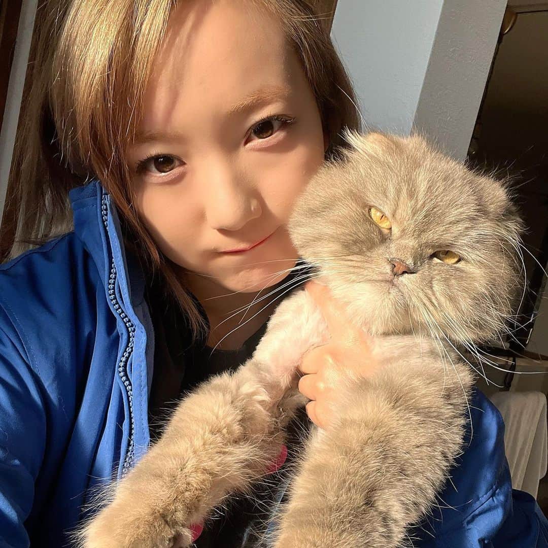 京佳のインスタグラム：「うちら可愛くね？ Are we the cutest 🐈 My little soul mate 👼 We are spending four years together in life  He always makes me cheer up and heals up  Thanks my love xx」
