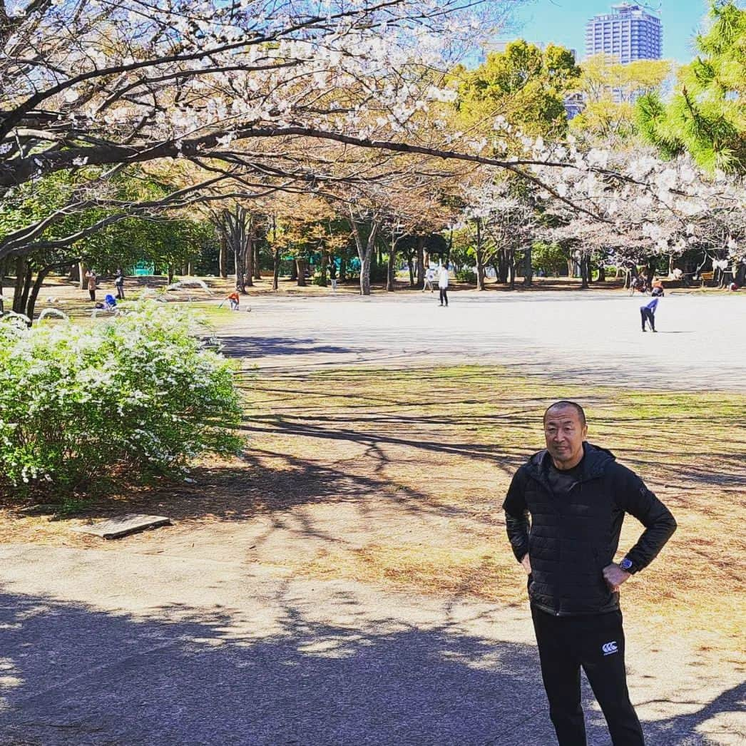 伊藤剛臣さんのインスタグラム写真 - (伊藤剛臣Instagram)「・ もうすぐで #桜満開 ‼️  #伊藤剛臣 #法政 #法政大学ラグビー部 #神戸製鋼所 #神戸製鋼コベルコスティーラーズ #元ラグビー日本代表  #ラグビー日本代表  #ラグビーワールドカップ2023 #ラグビーワールドカップ #ラグビー  #ホリプロ #rugby  #rugbyunion  #rugbyworldcup #rugbyworldcup2023 #Canterbury #ゴールドウィン #goldwin #カンタベリー #Canterbury #マッツカート #ナンバー8 #braveblossoms #公園 #風景」3月19日 17時33分 - ito_takeomi0411_official